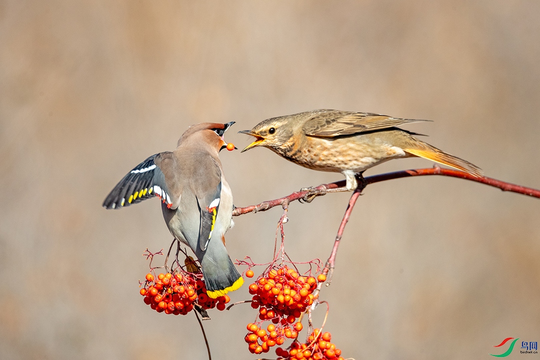 BN5I1328 ���� 2.jpg