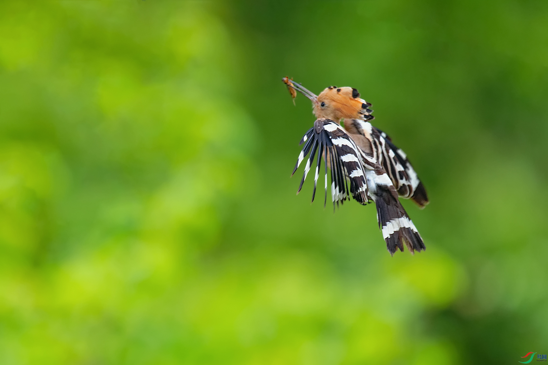 DSC_6393_DxOa.jpg