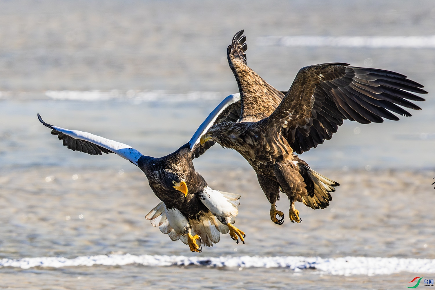 771A7006 ����a.jpg