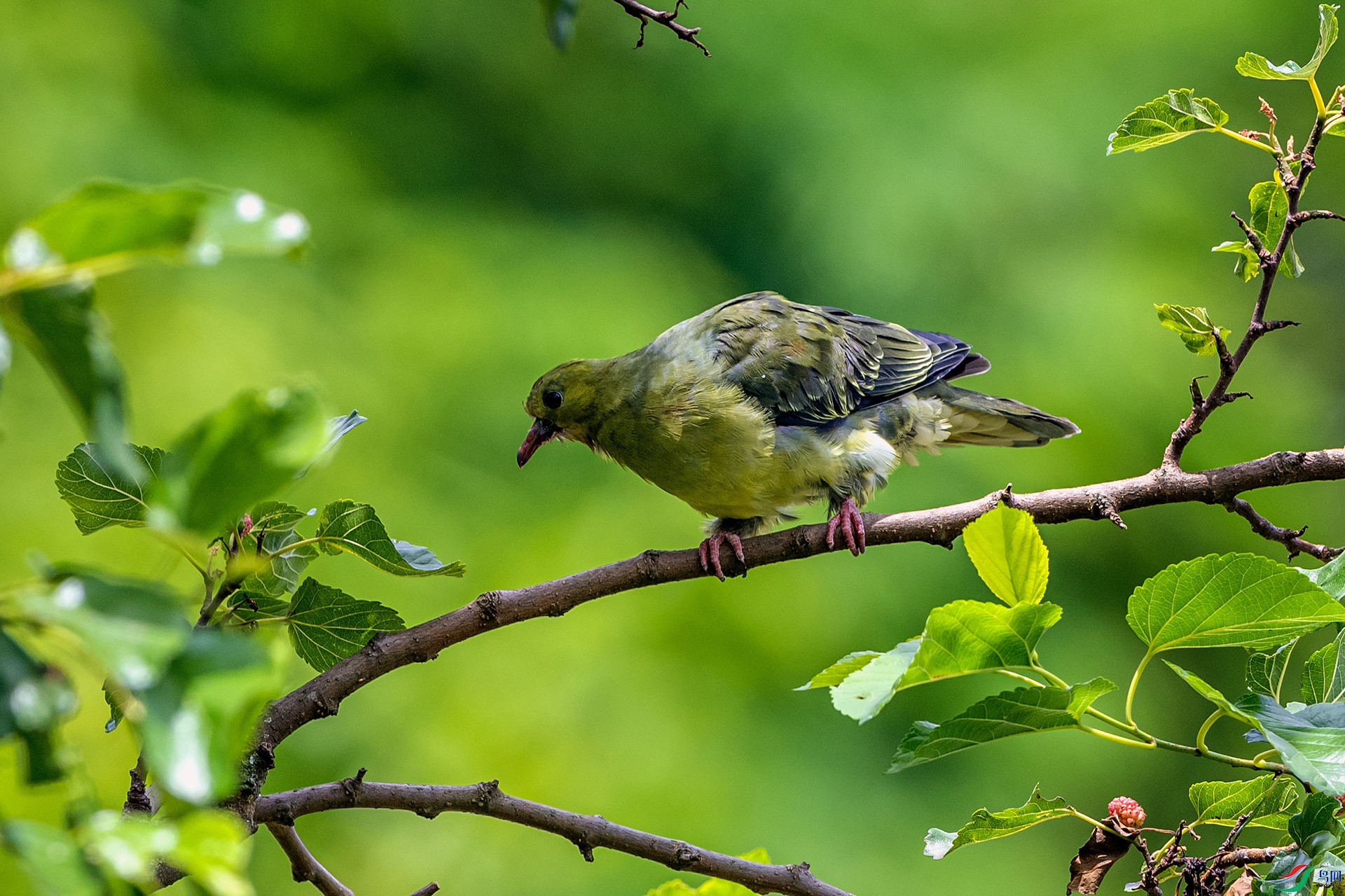 _AUU6935 Шβ���(25.7.8).jpg