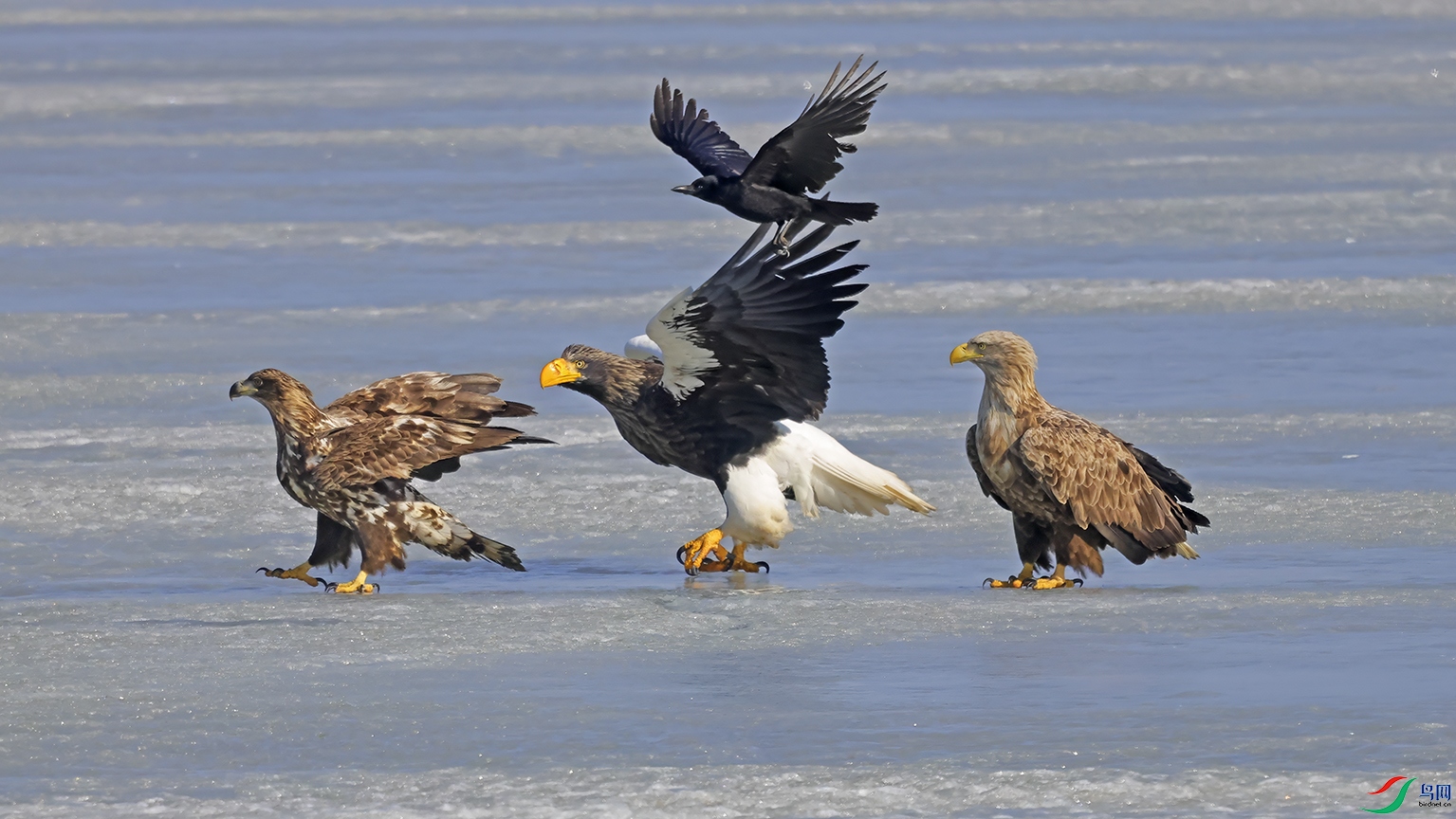 3U2A7362 ���� 2.jpg