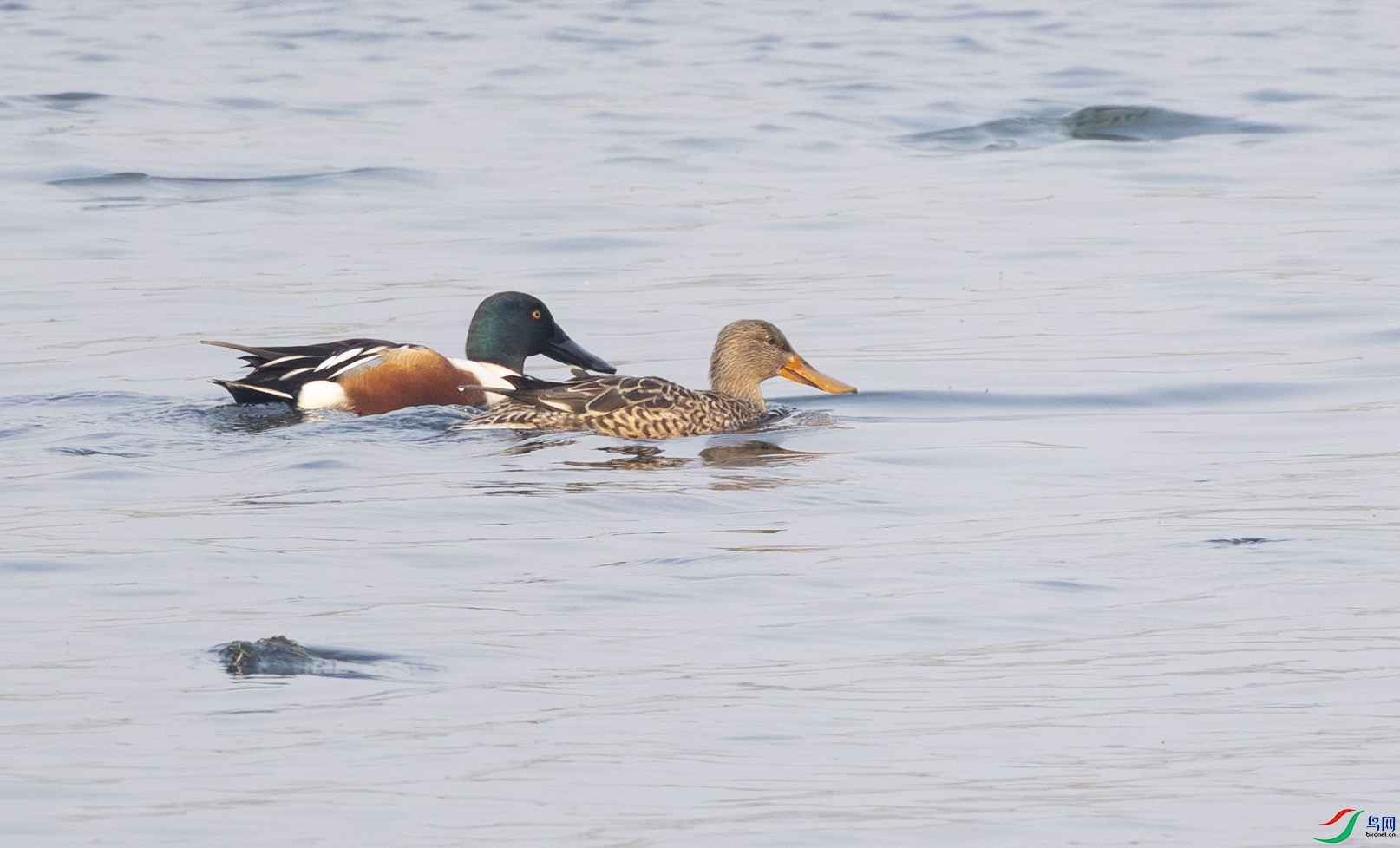 G47A0037-����ǿ-NR ����.jpg