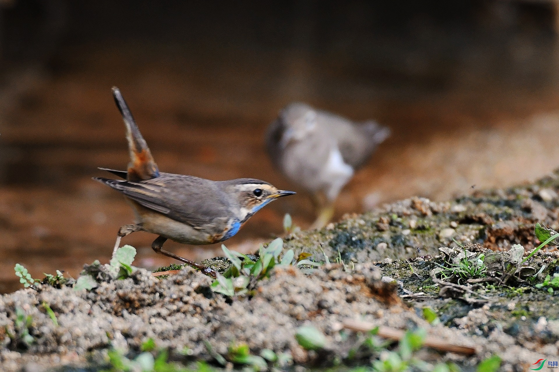 DSC_4057.jpg