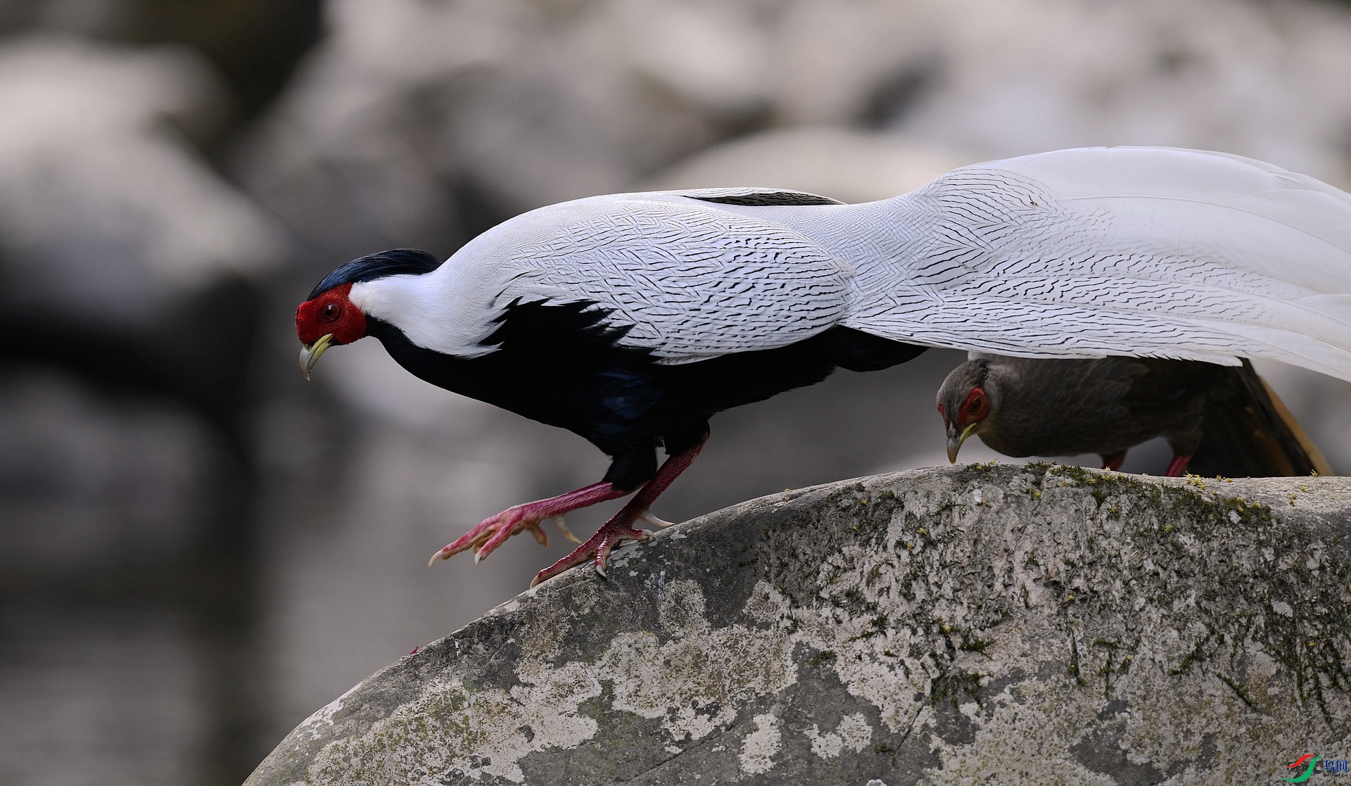 DSC_7844.jpg