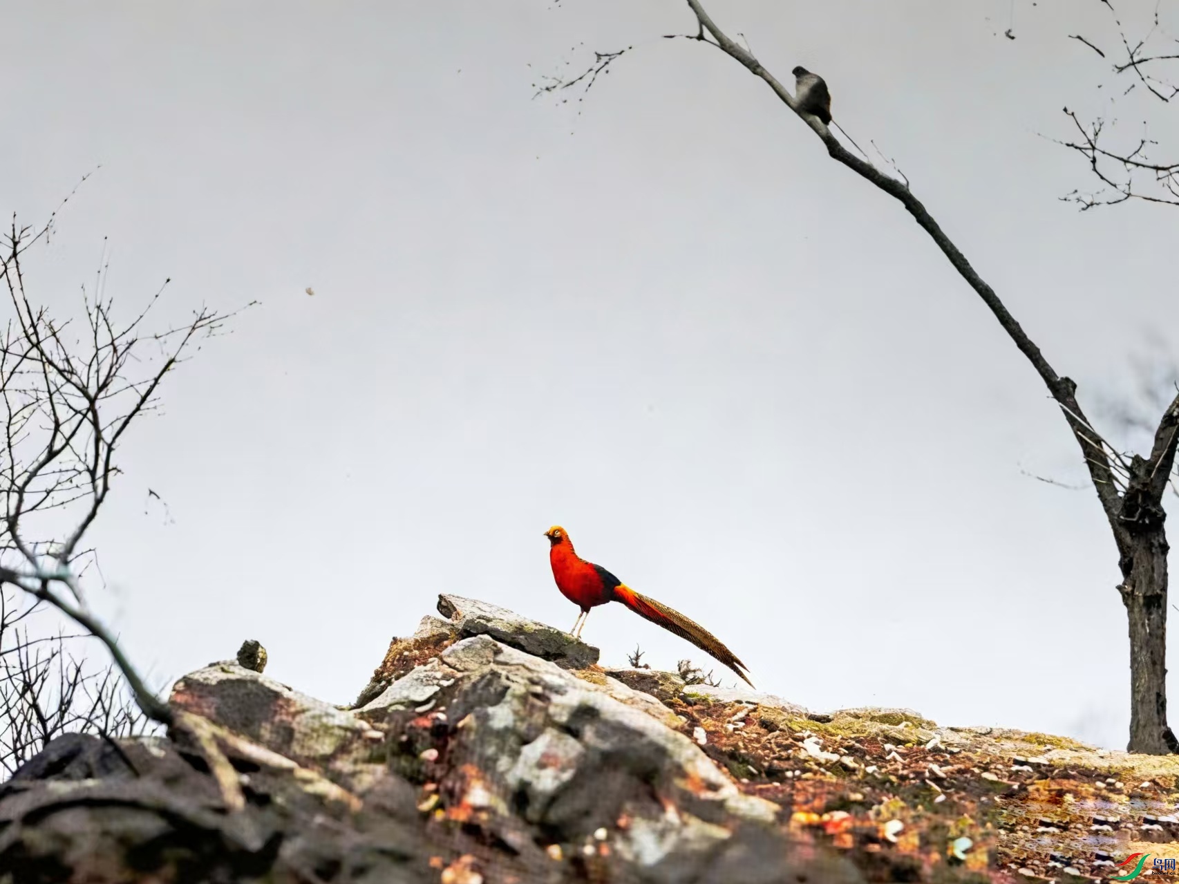 DSC07318_���� -1.jpg