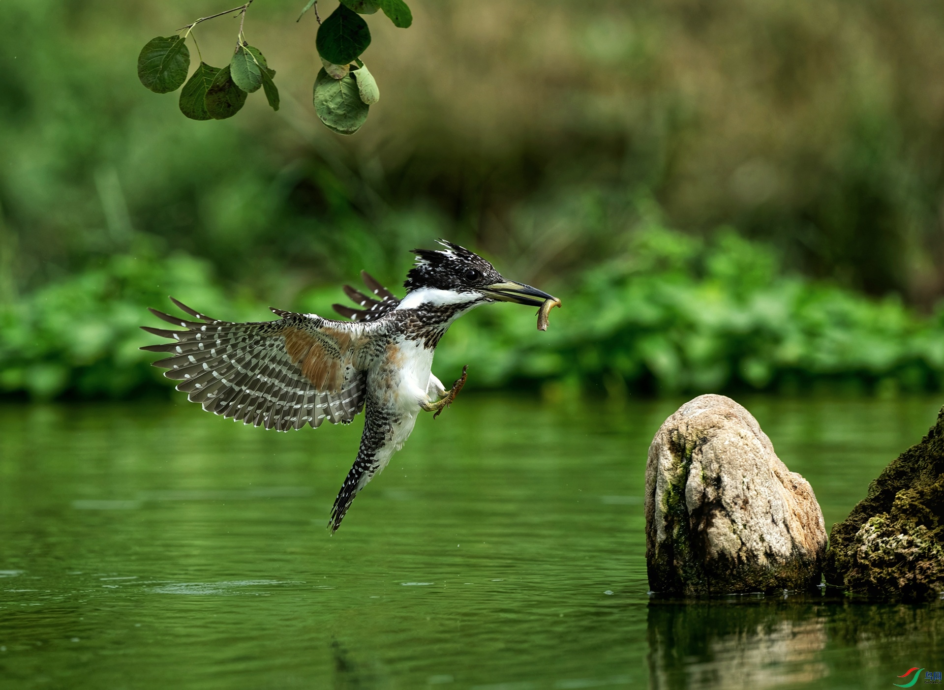 _DSC8684 ����-01.jpeg