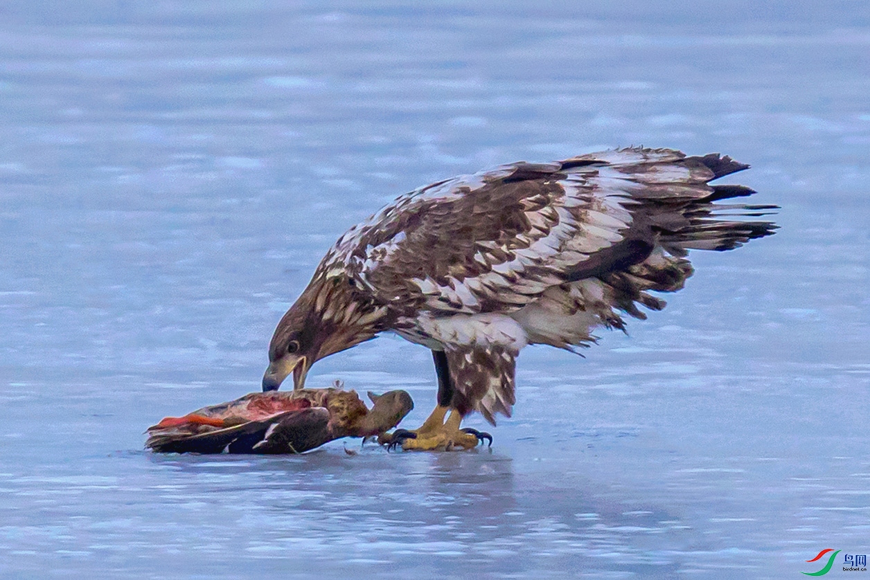 _90I3460 ����.jpg