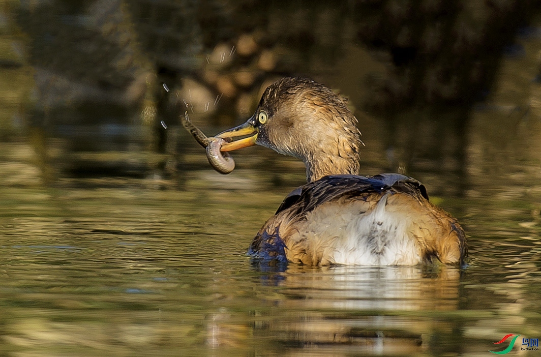 _MG_0521 ���� 2.jpg