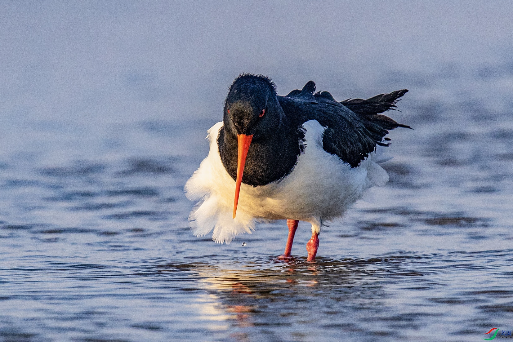 _90I3695 ���� 2.jpg