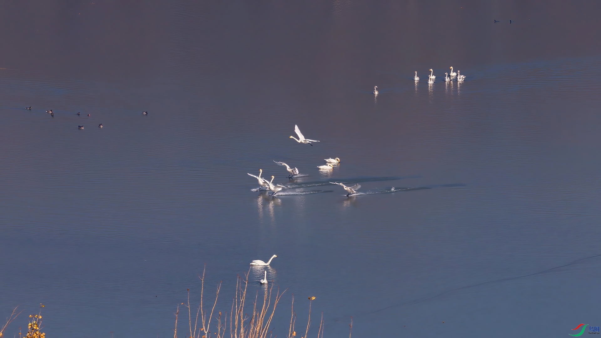 ��֡ 2026-03-02 133819_1.1.jpg