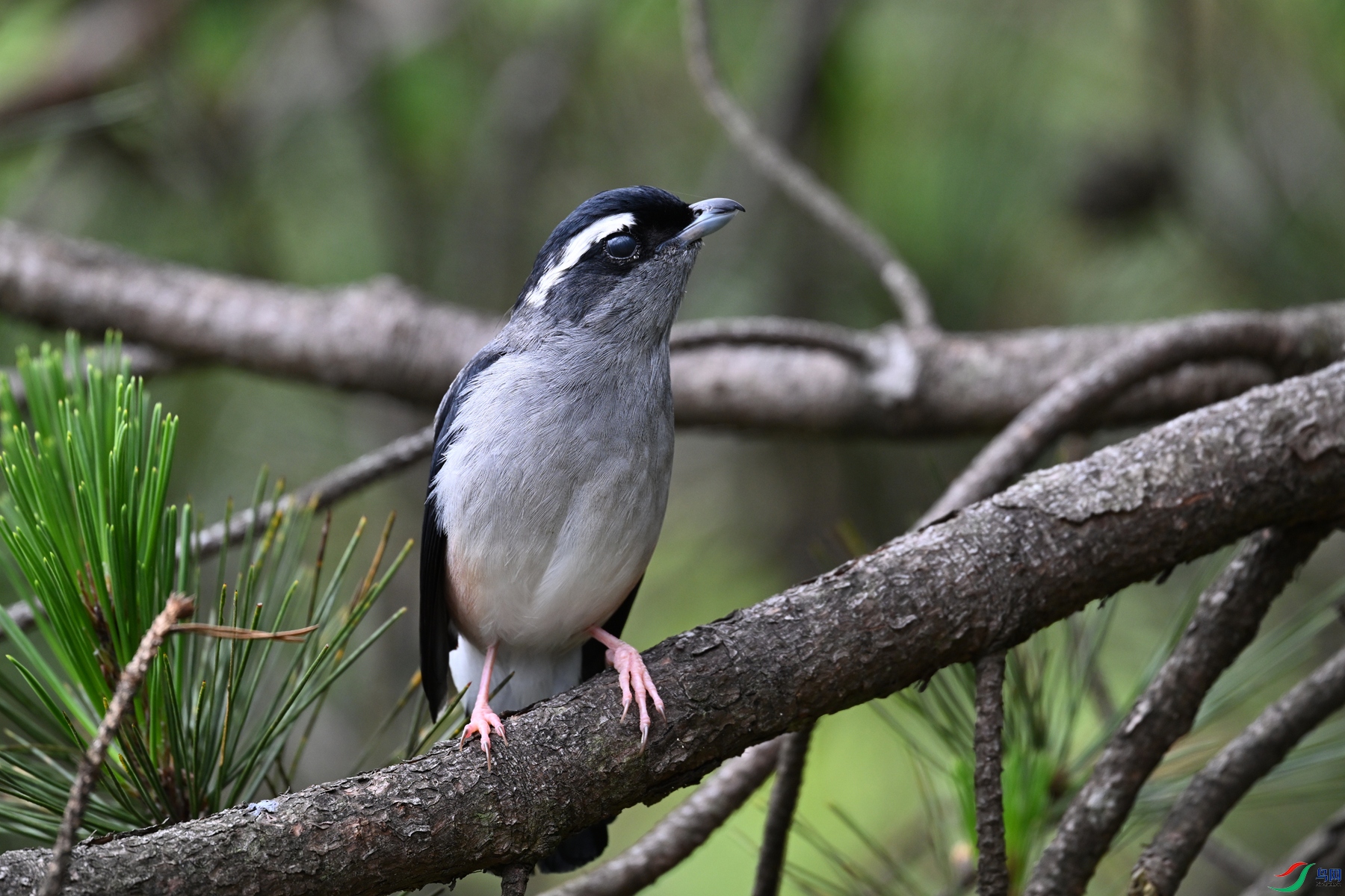 DSC_1128.JPG