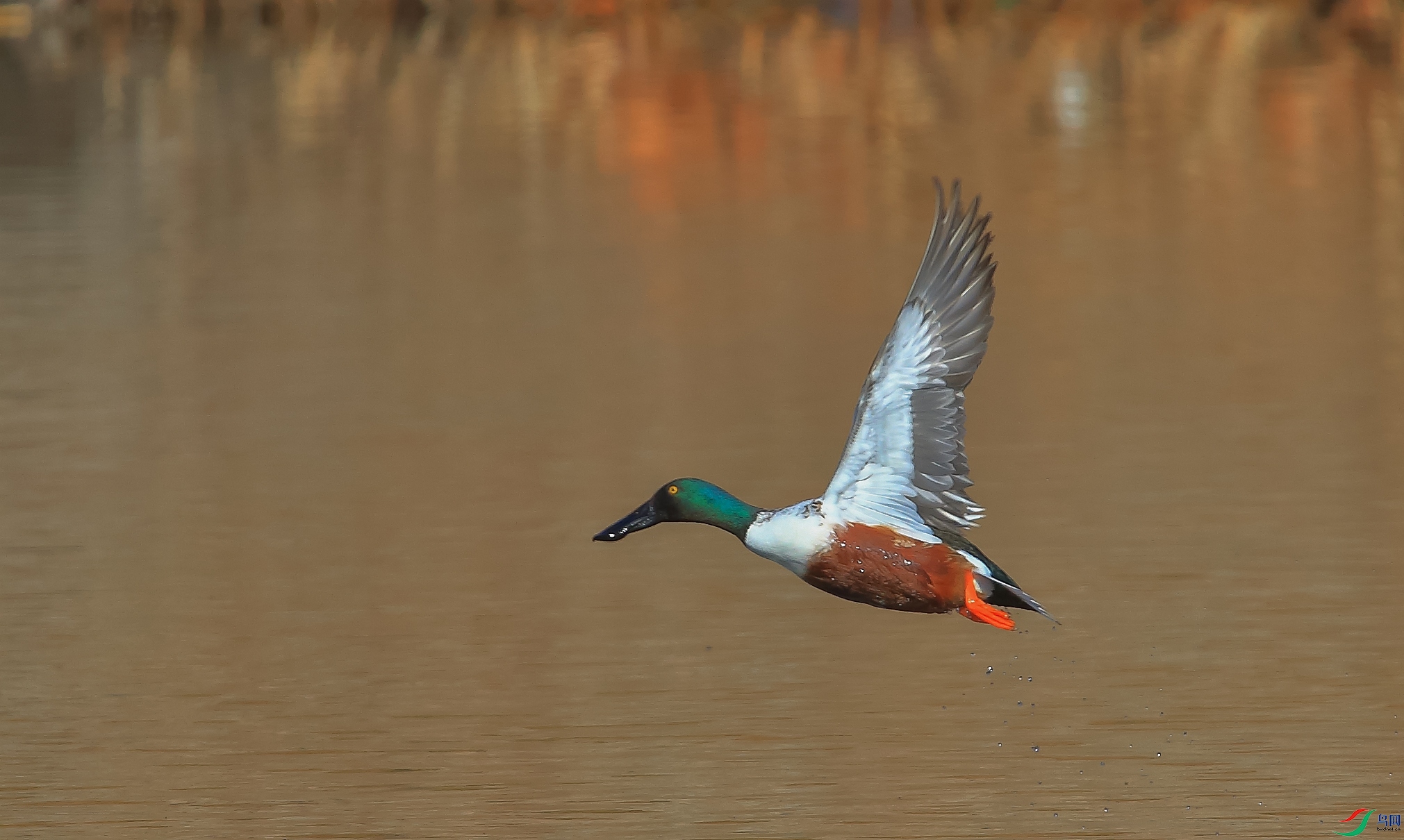 AM6Y0140 ����.jpg