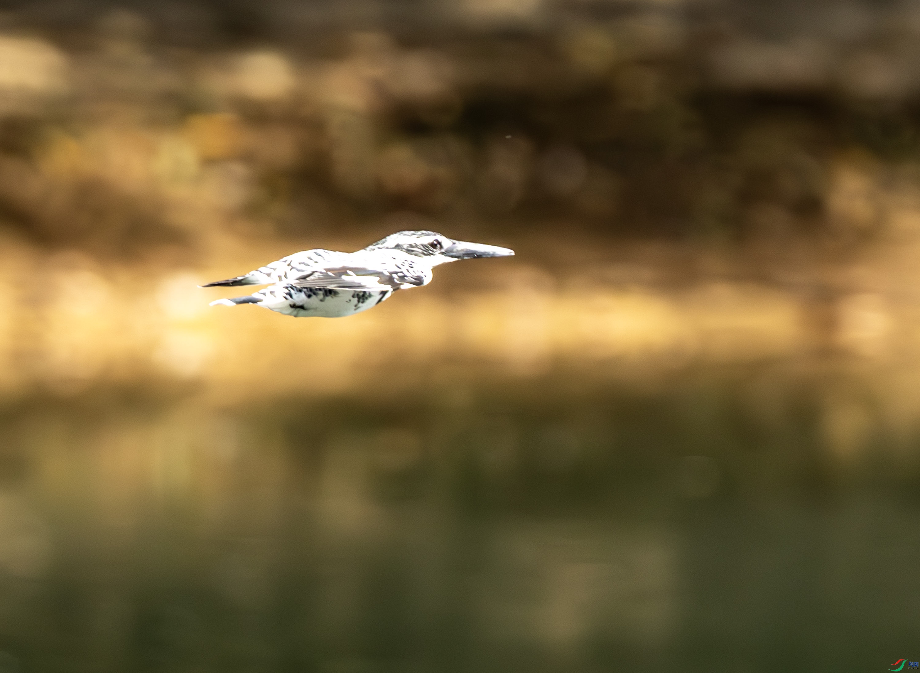 ���㹷-04-30.jpg