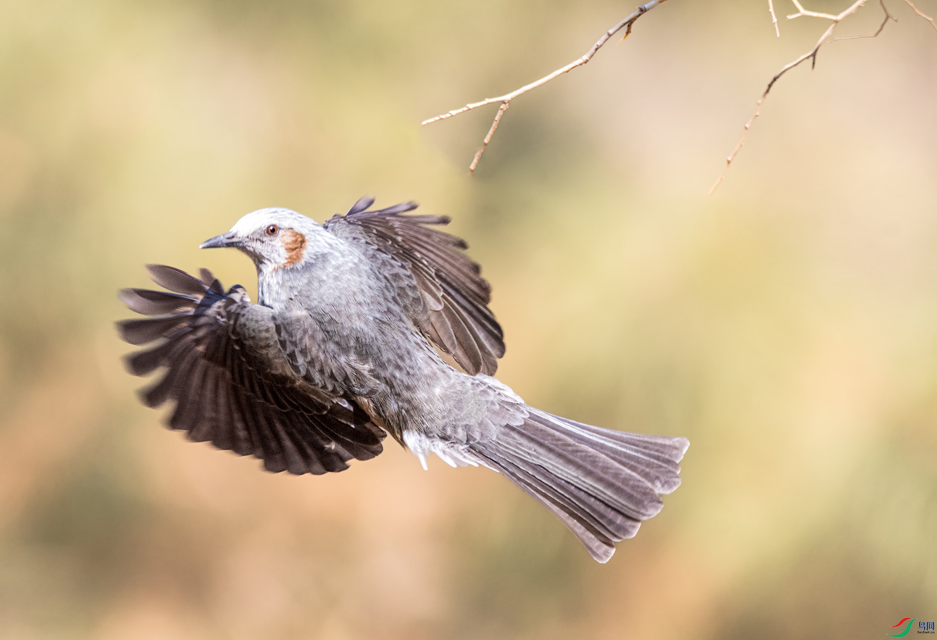 DSC_4565_��ͼ�� ����.jpg