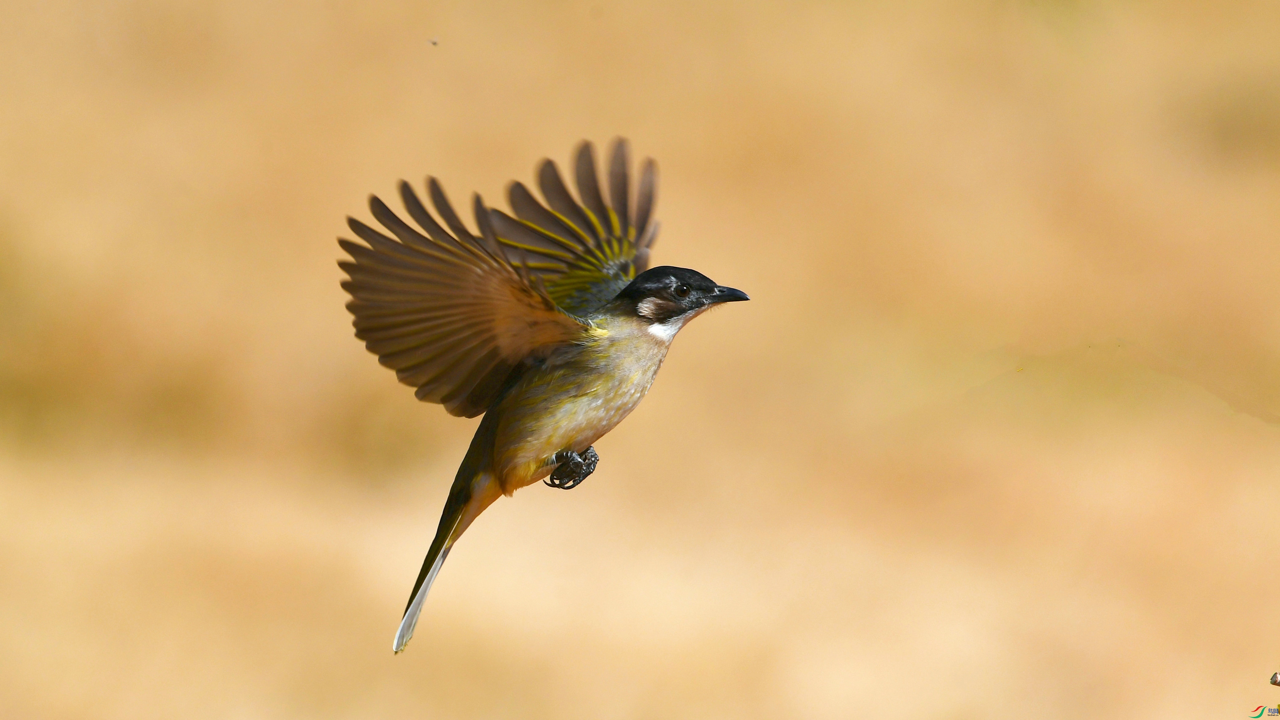 DSC_4423.JPG