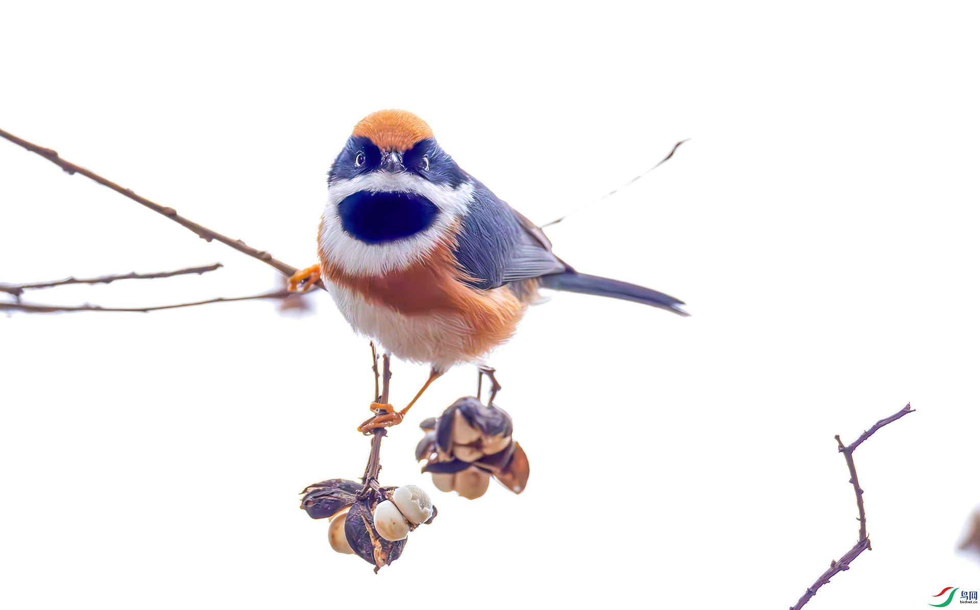 407A6521----33  .jpg