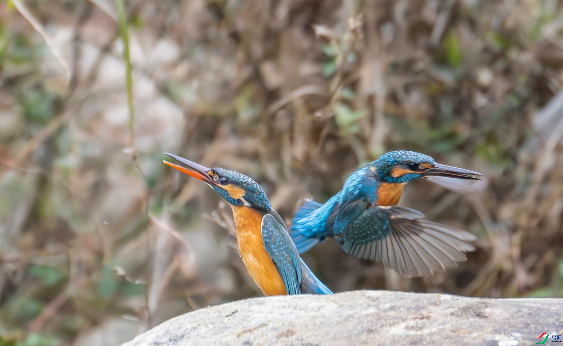 407A5789-----33  .jpg