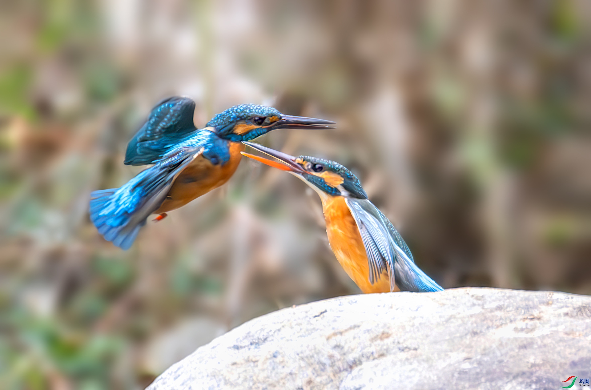 407A5787-----33  .jpg