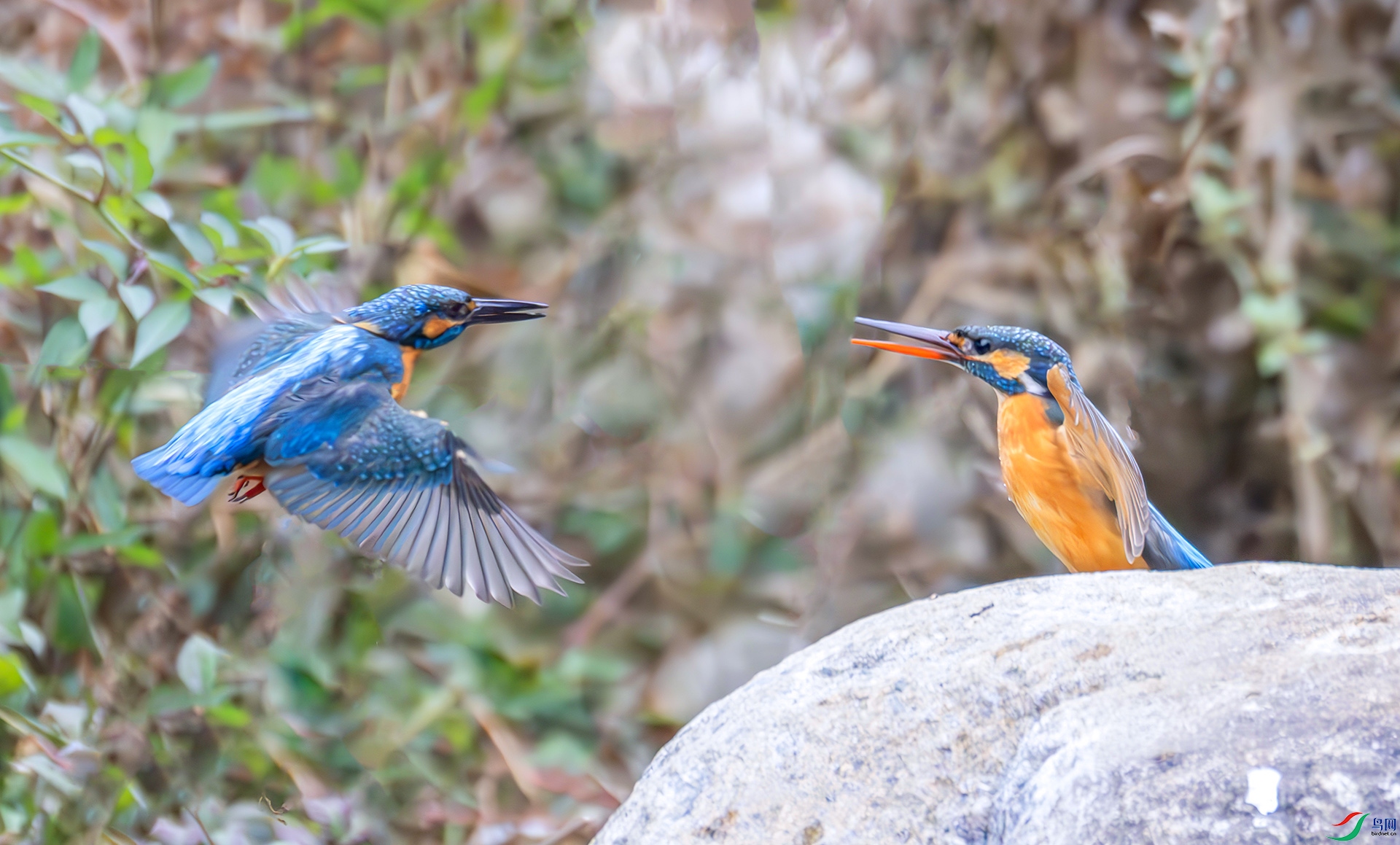 407A5785----33  .jpg