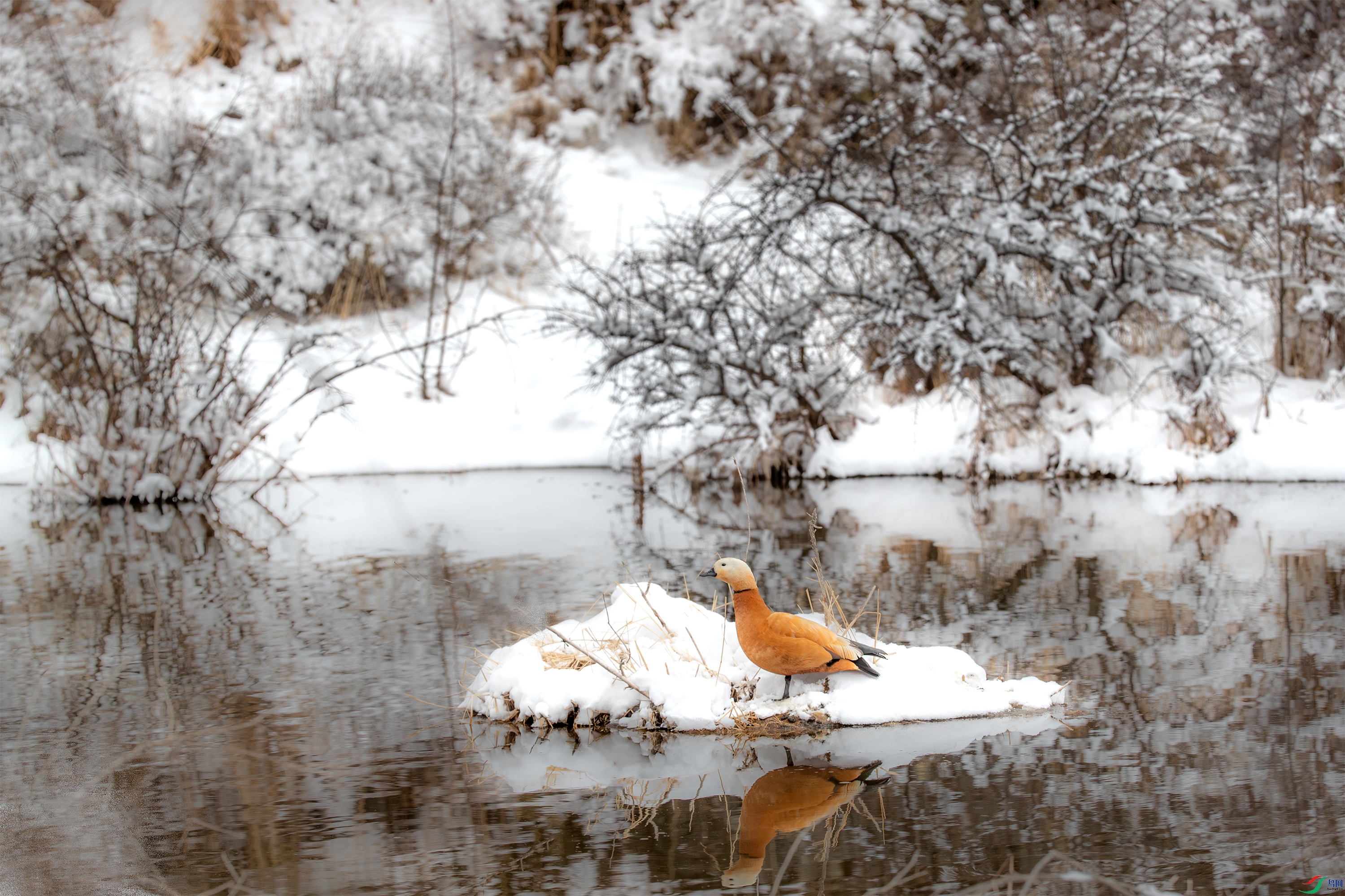 AY8I9062 213����.jpg