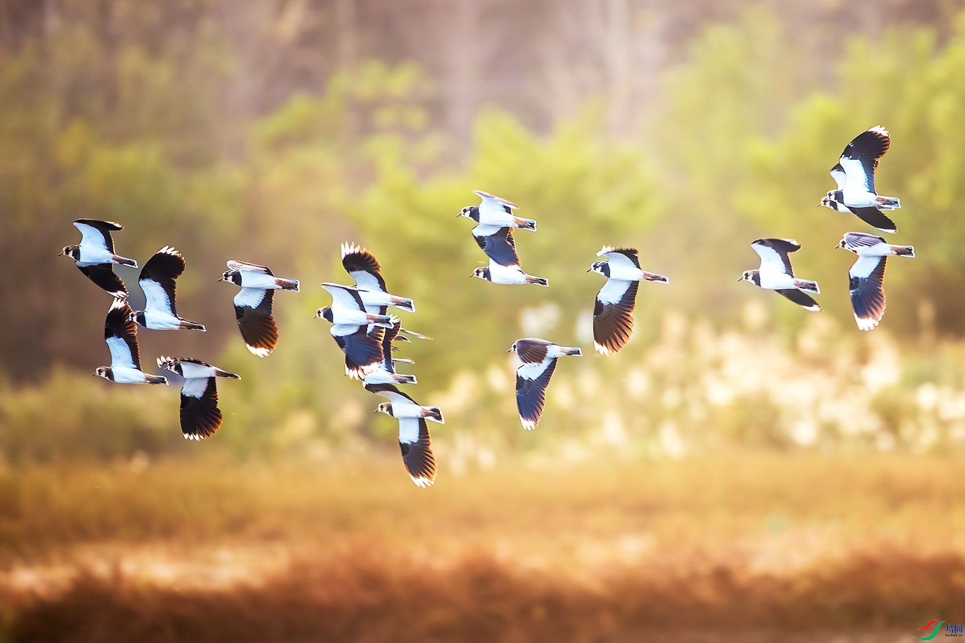 BU3I3592 ����.jpg