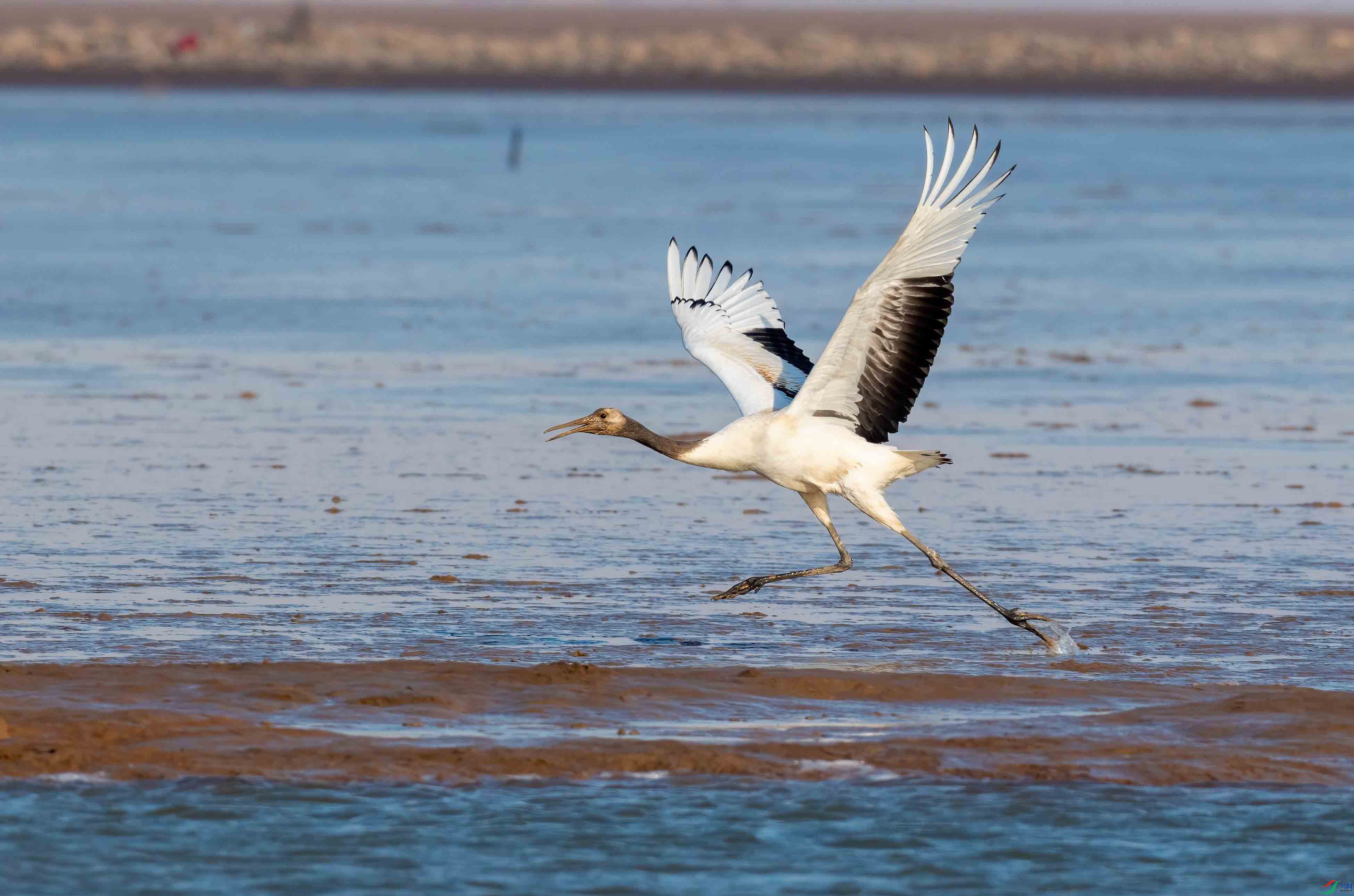 131A8055 ����.jpg