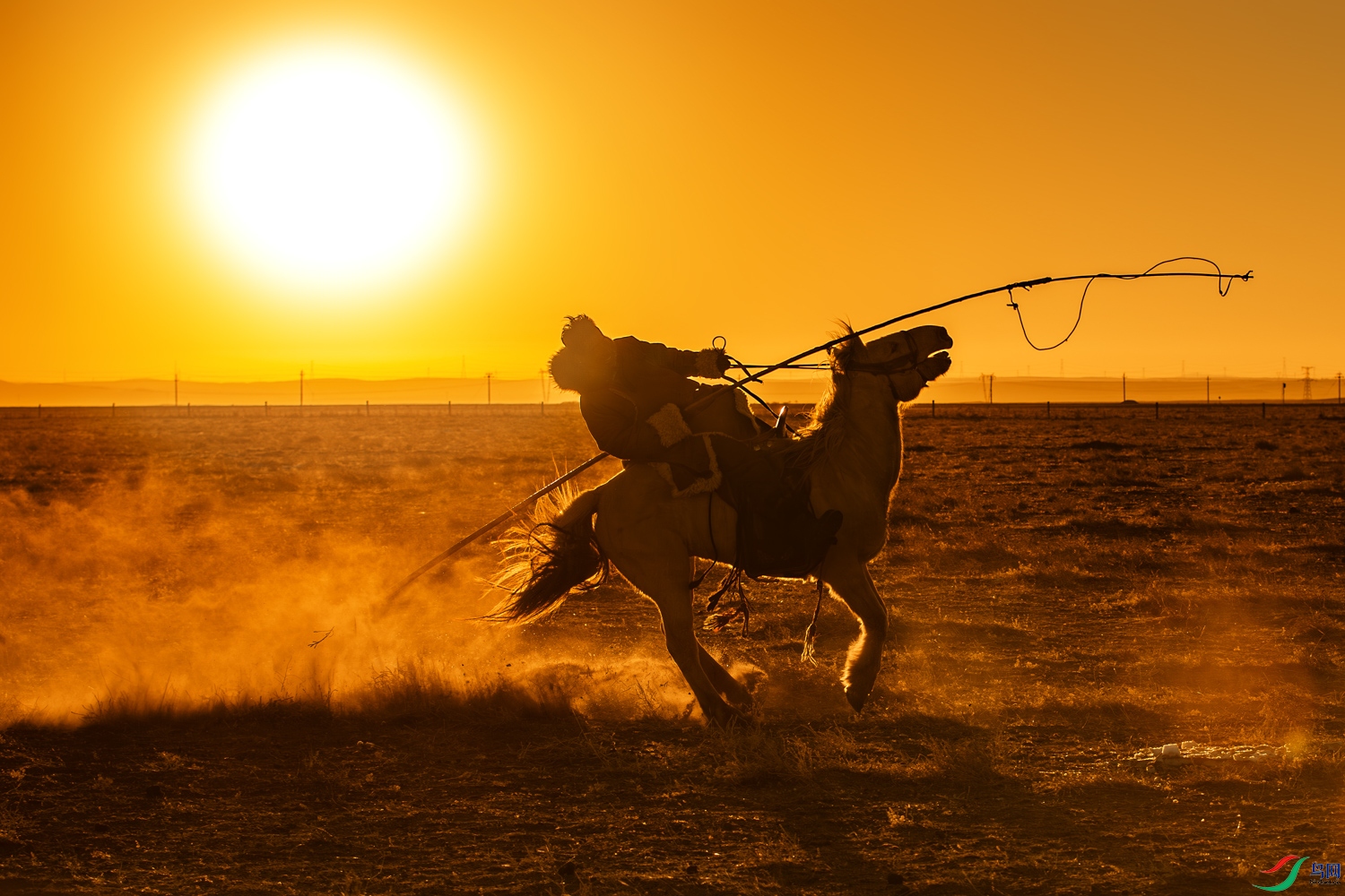 A68O0900-����ǿ-NR ����.jpg