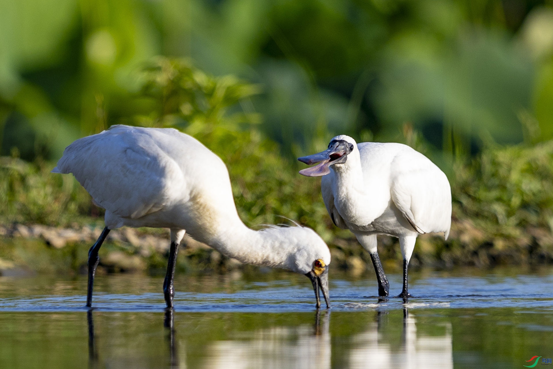 ��������