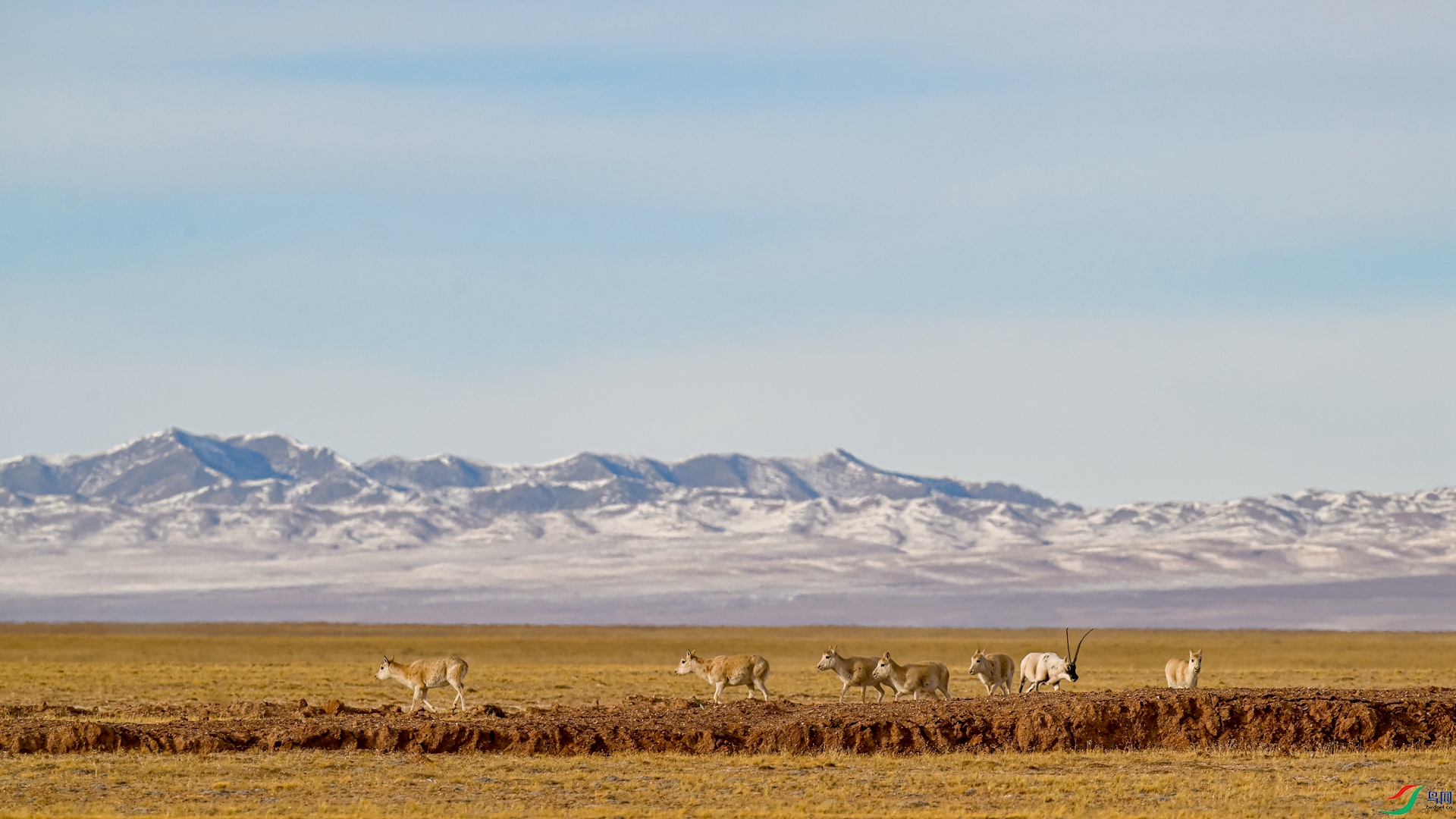 _DSC8176_1.jpg
