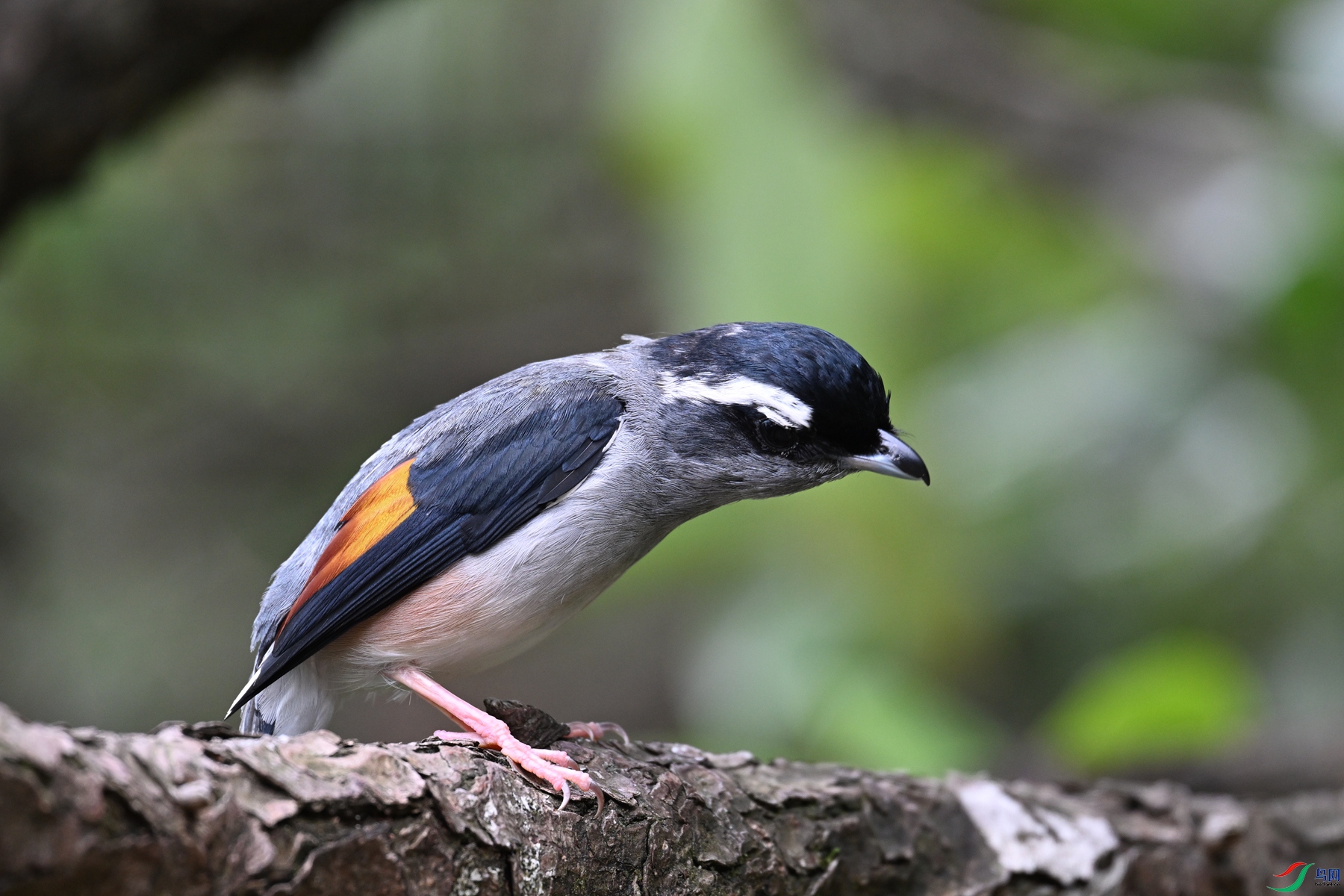 DSC_1163.JPG