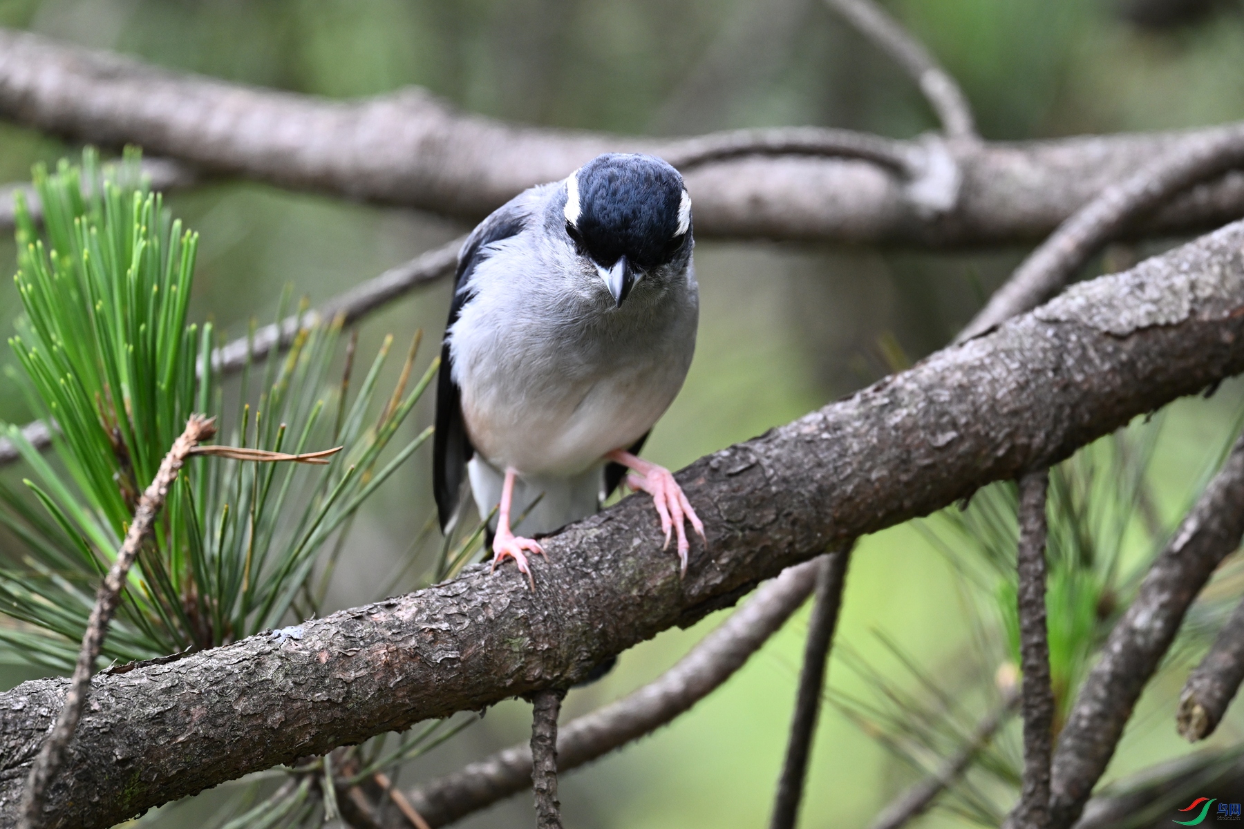 DSC_1146.JPG