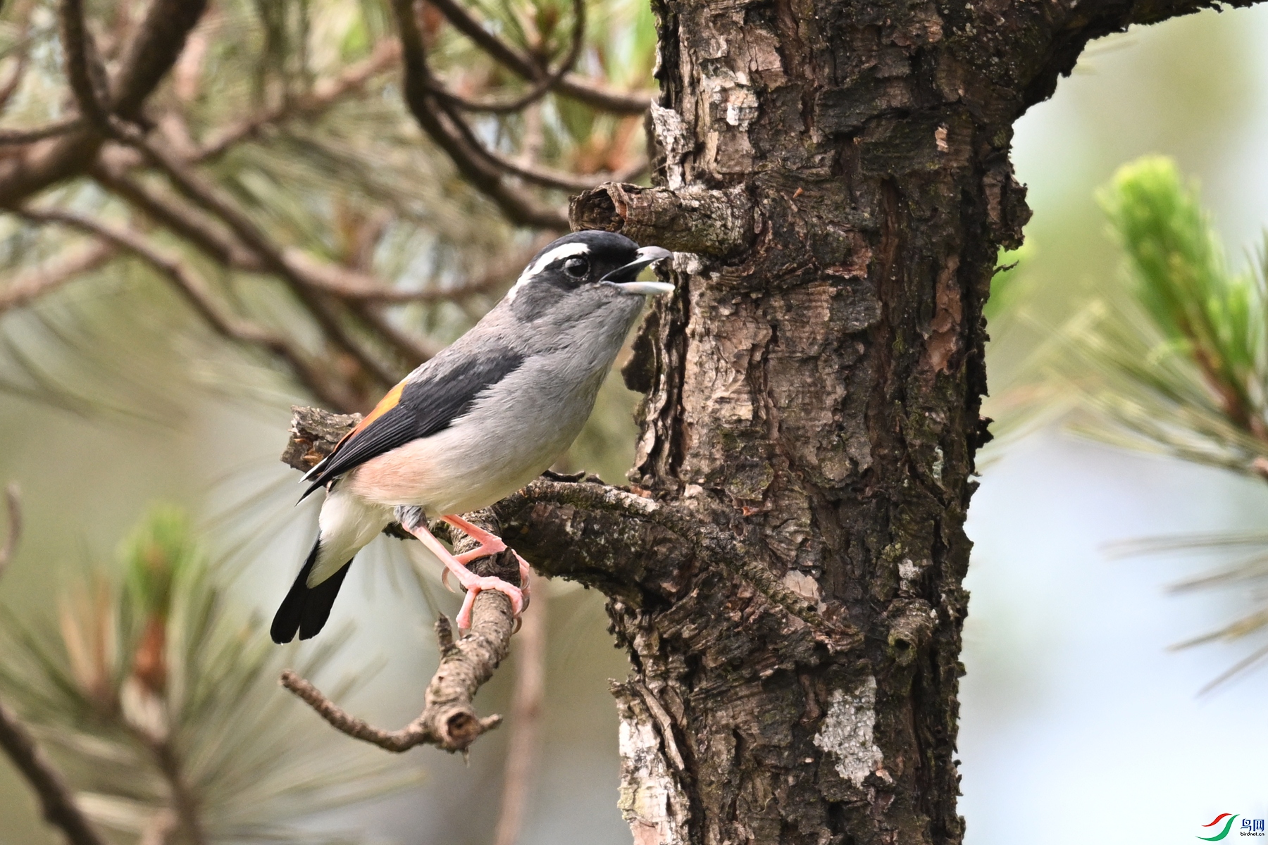 DSC_1191.JPG