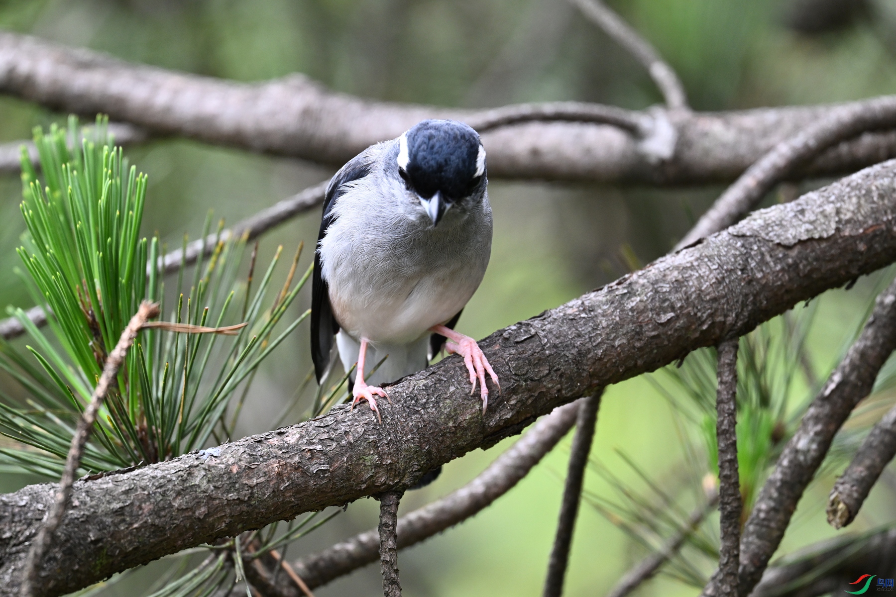 DSC_1148.JPG