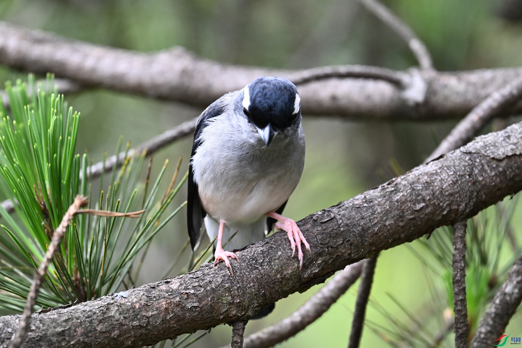 DSC_1149.JPG
