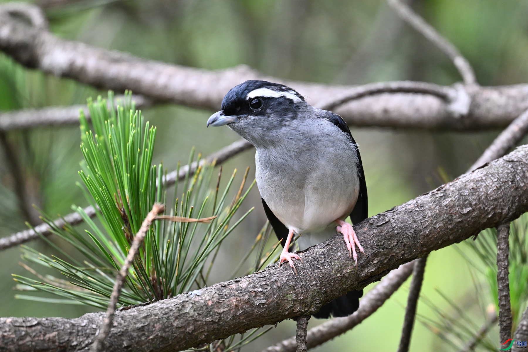 DSC_1150.JPG