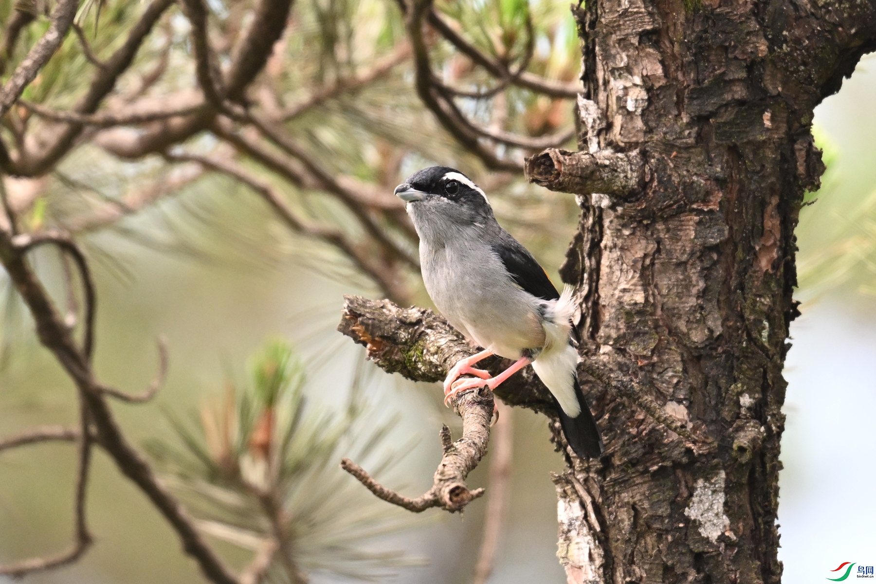 DSC_1187.JPG