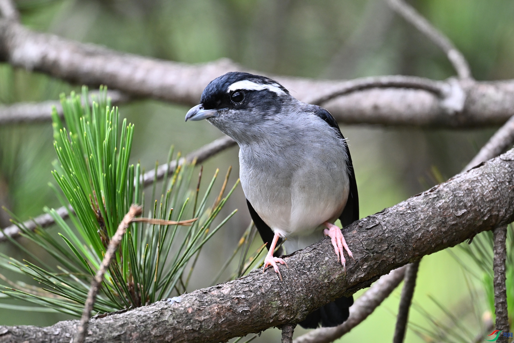 DSC_1152.JPG