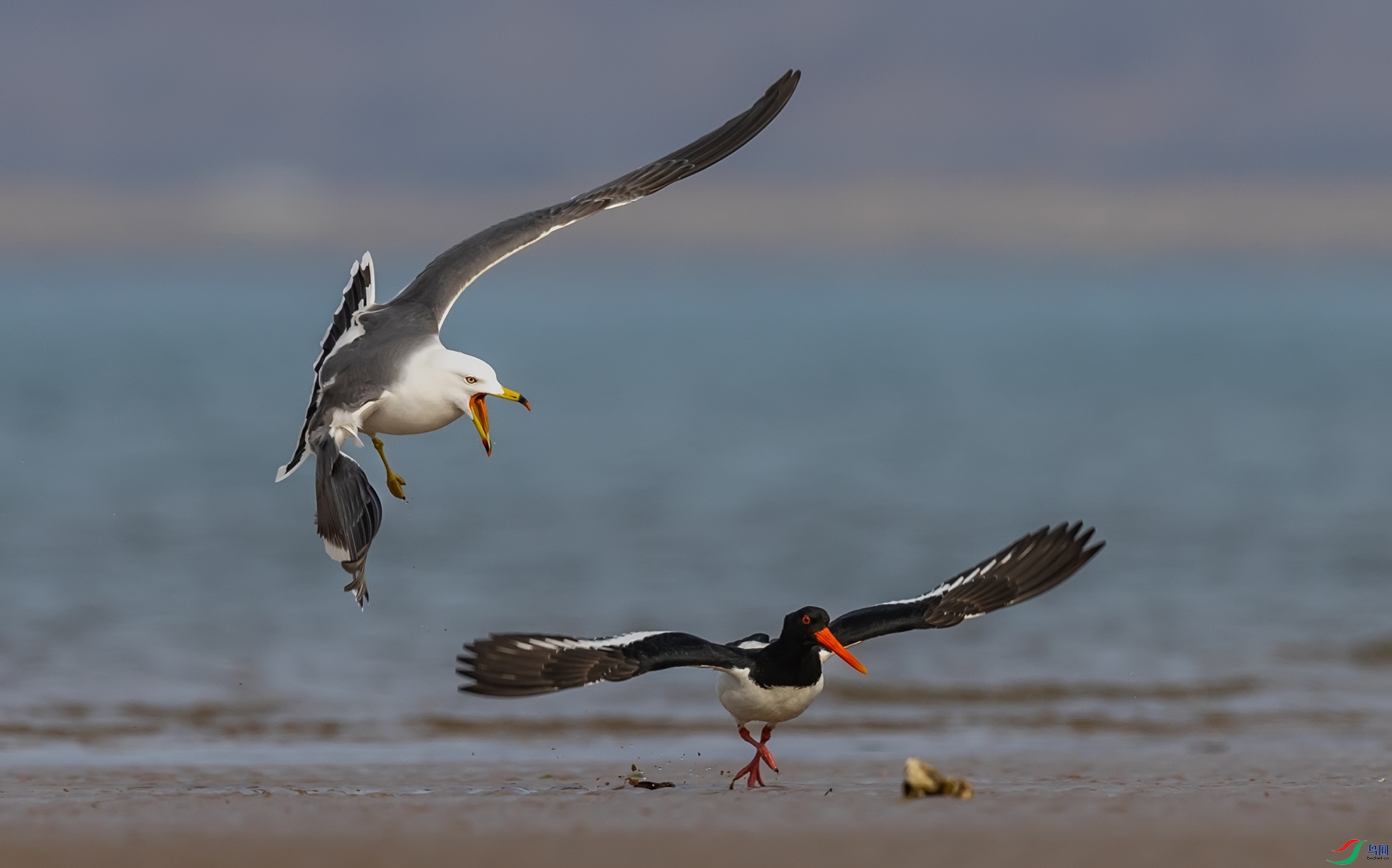 ��βŸ������