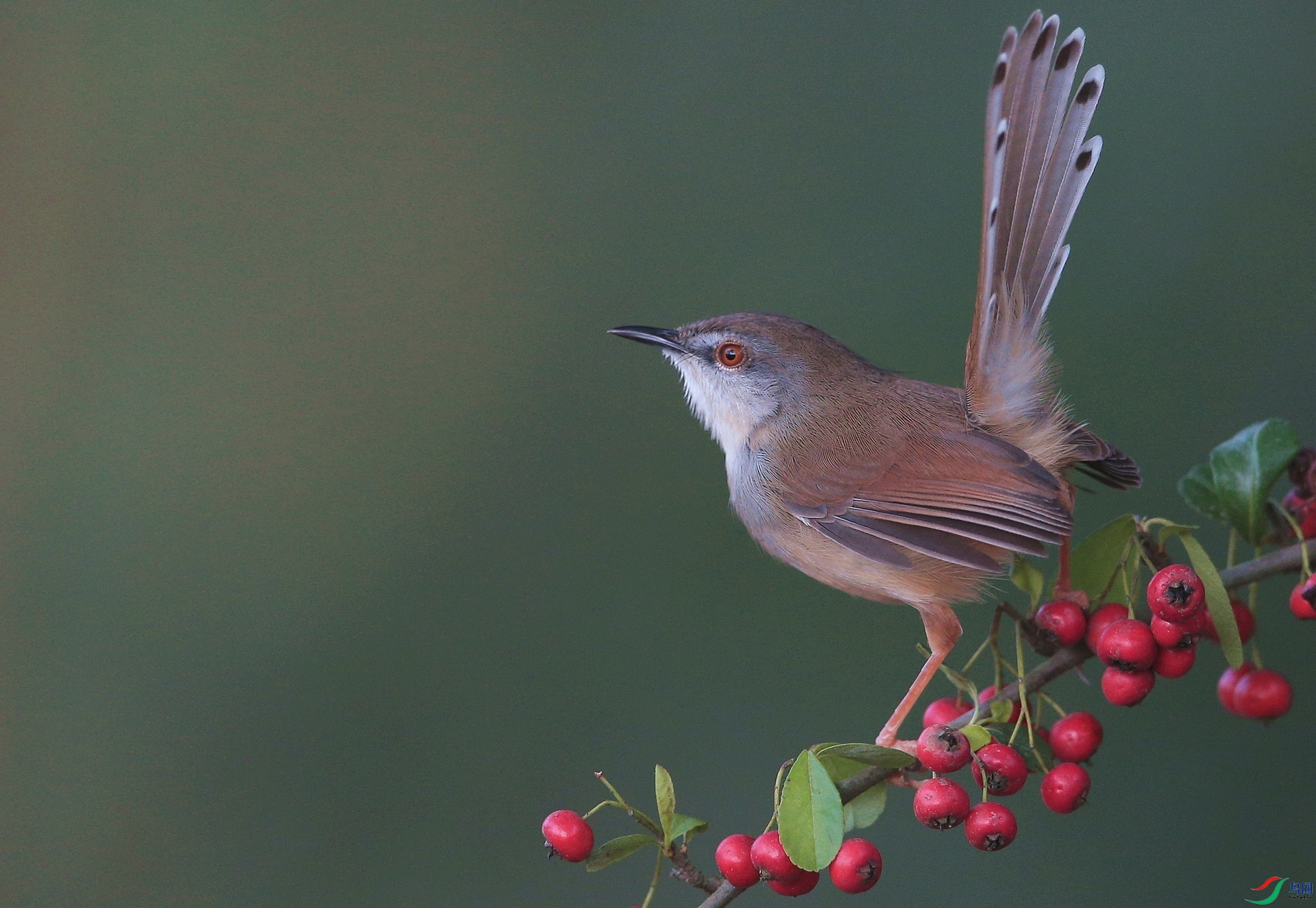 ����IMGL0598ף��ʦ��Ԫ�����֣�  ����.JPG