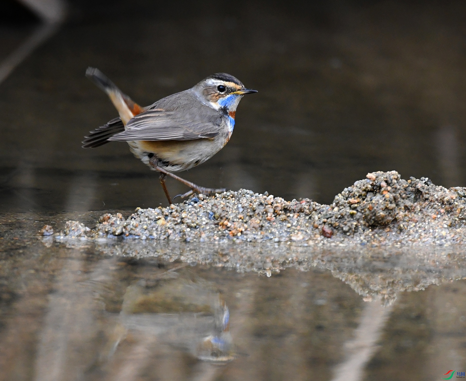 DSC_2068.jpg