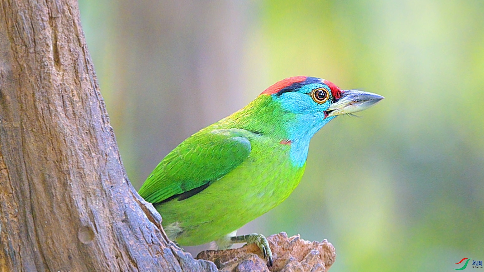 {413CF36E-976E-4DB2-A359-547CBE9ADCAC} ����.jpg