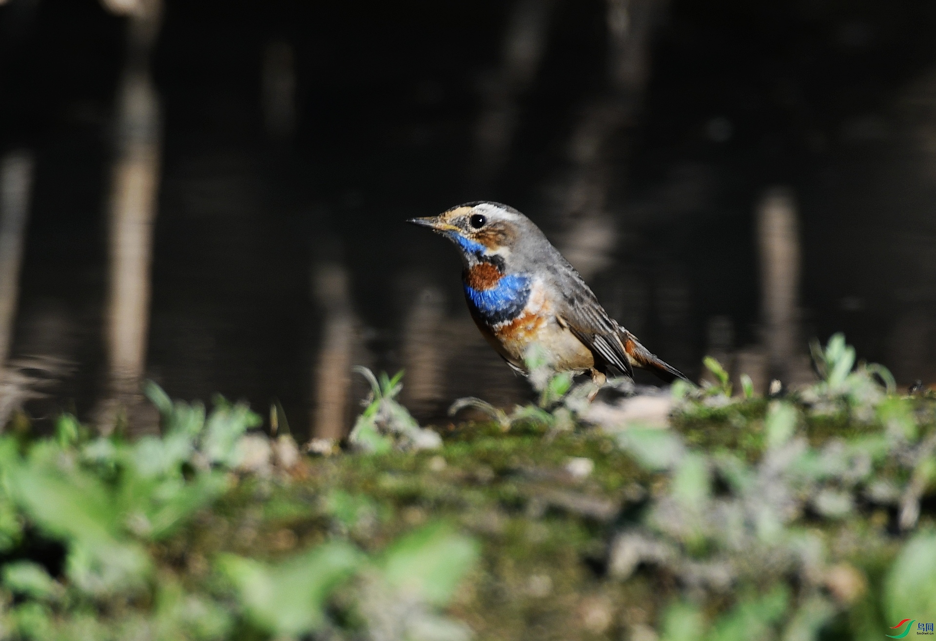 DSC_5065.jpg