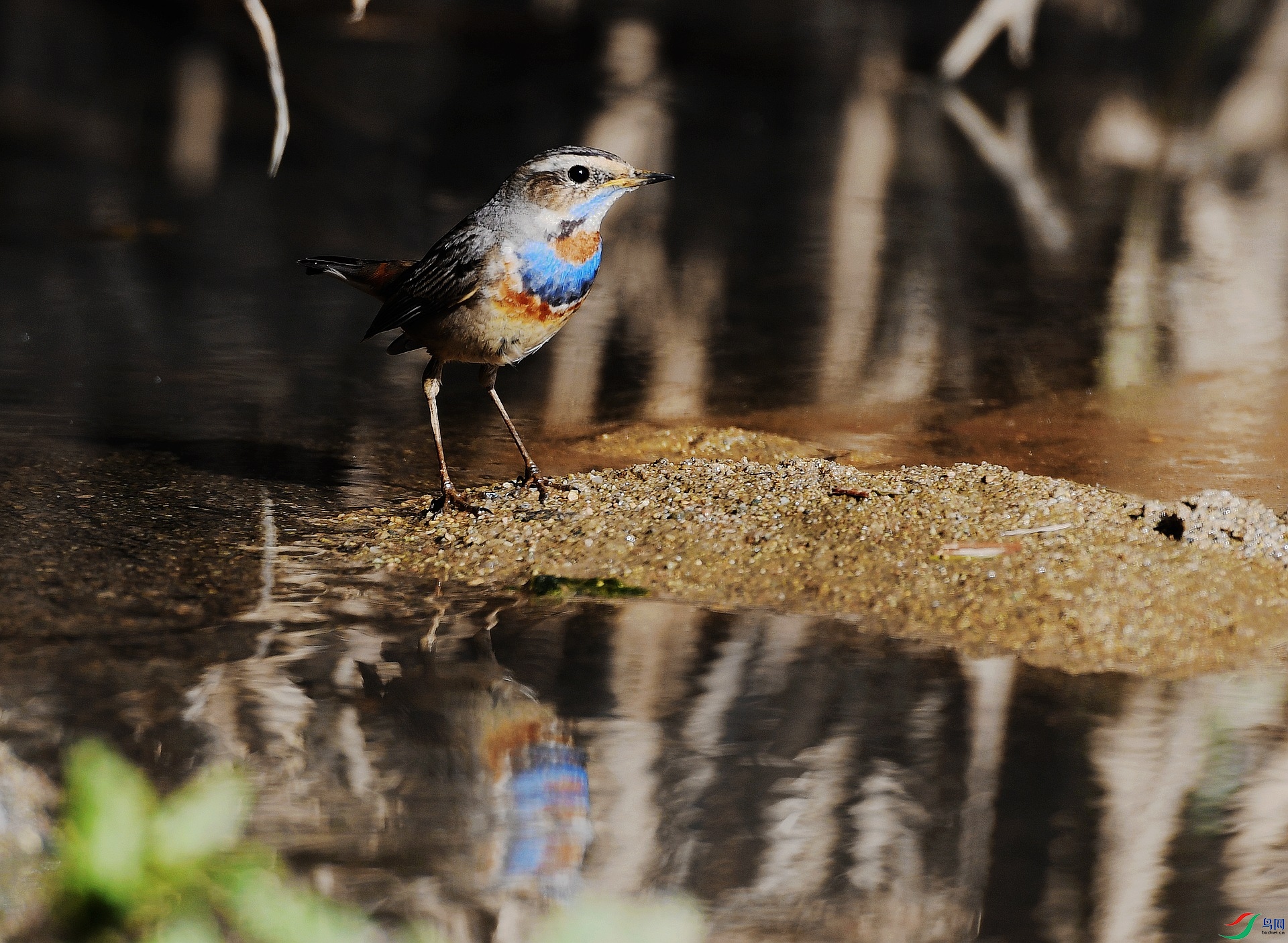 DSC_4859.jpg