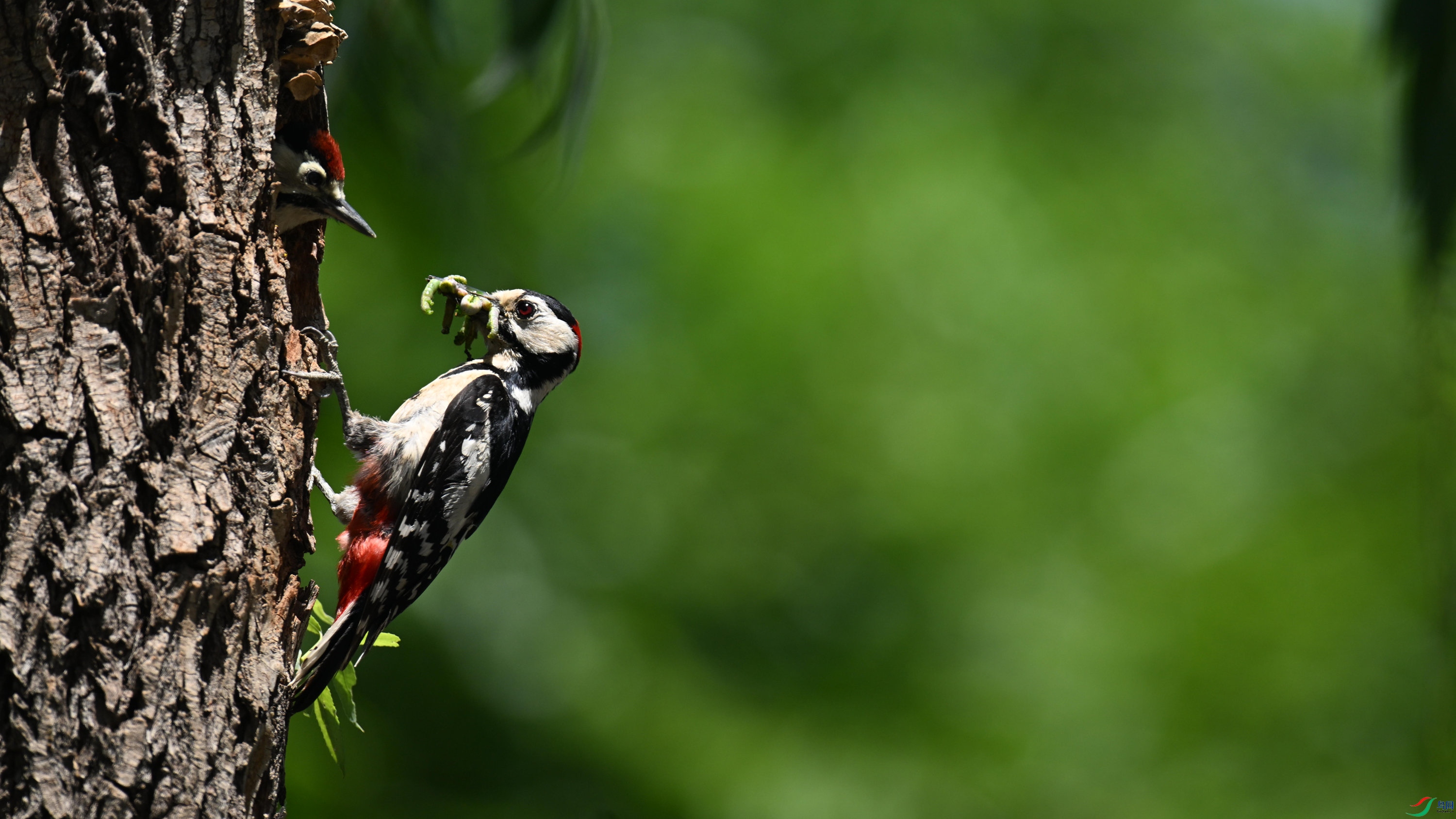 �����ľ�� (1).jpg