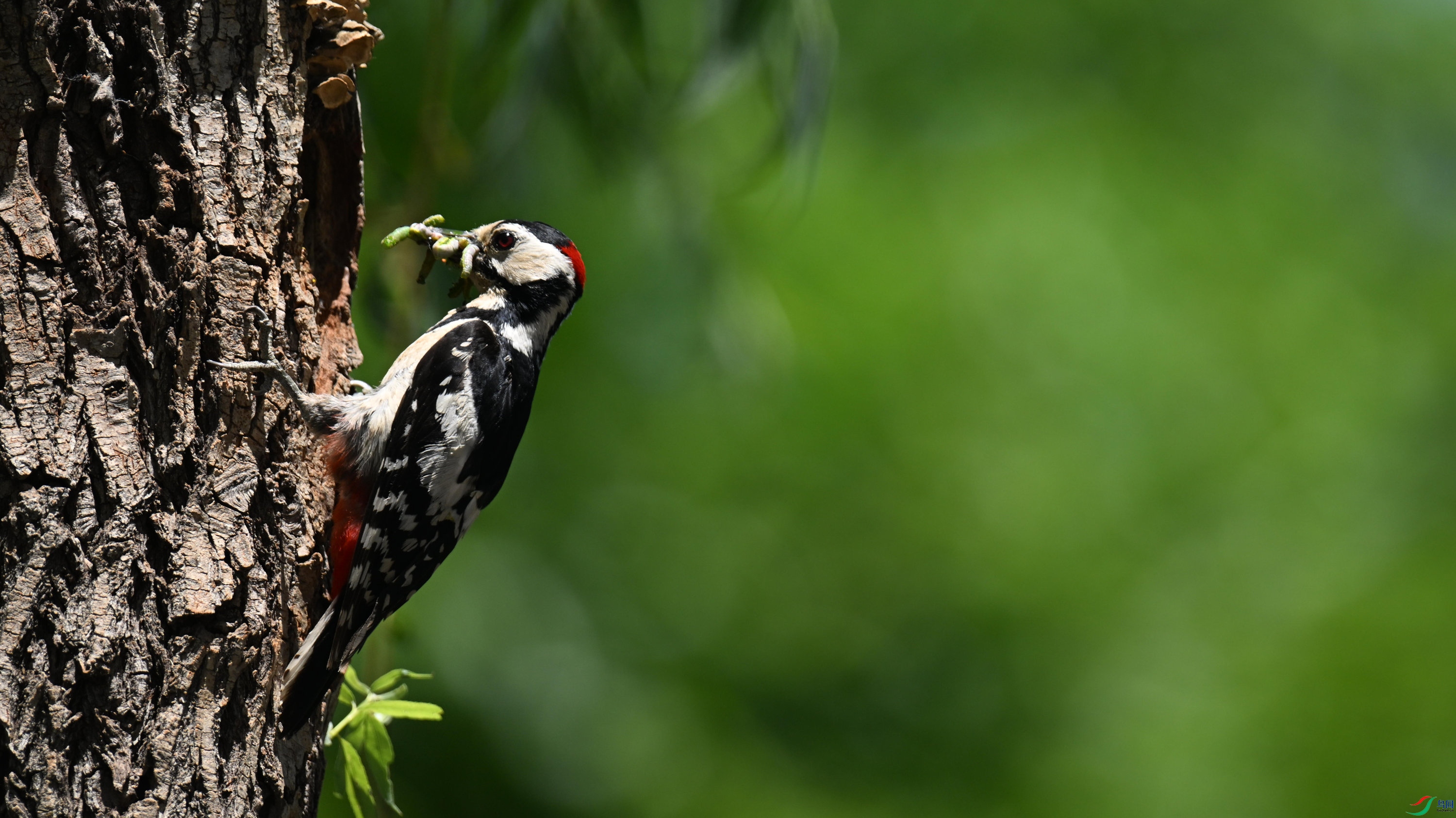 �����ľ�� (7).jpg