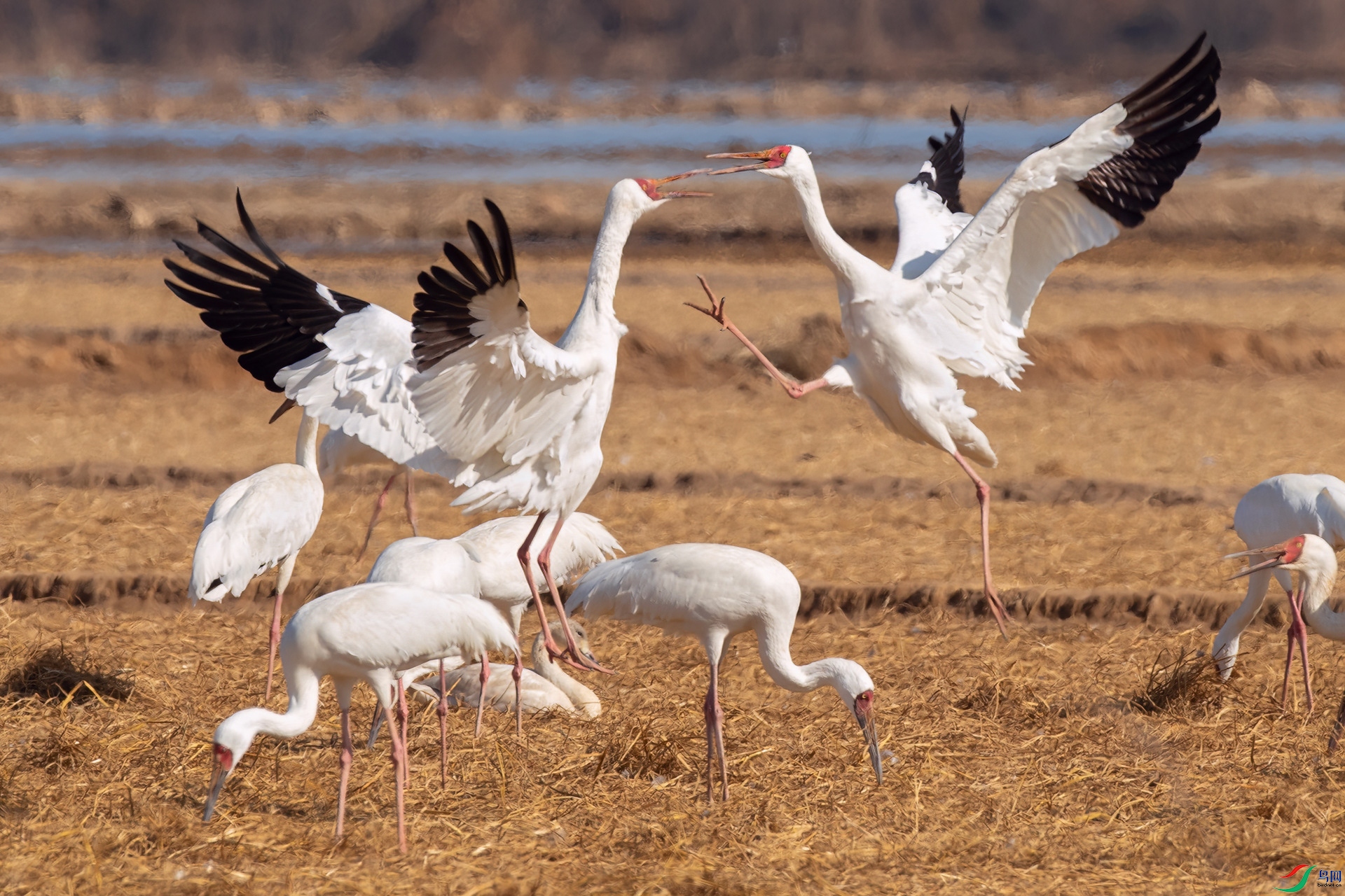 B86I0273 _����.jpg