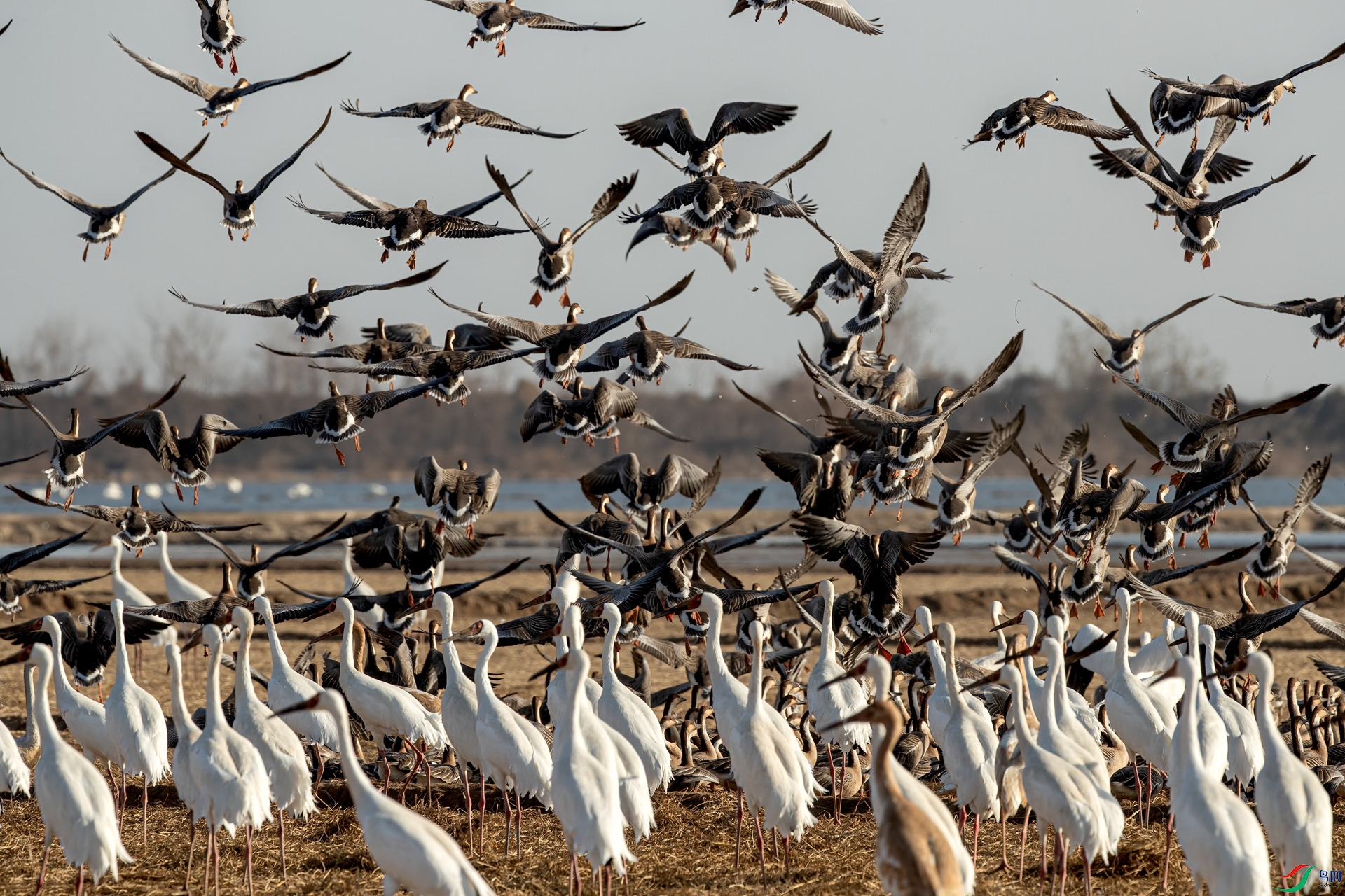 B86I9319 _����.jpg