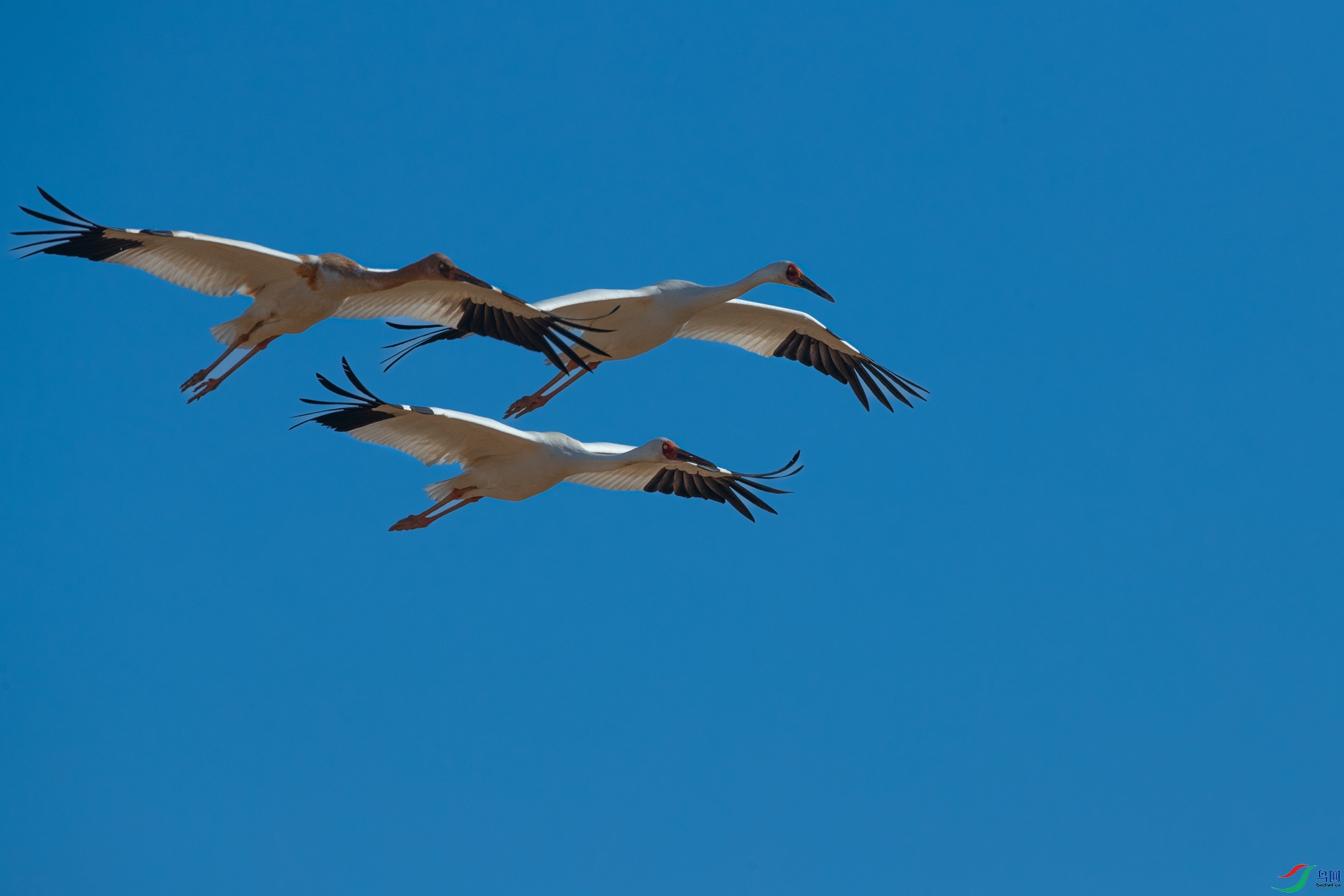 B86I0155 _����.jpg