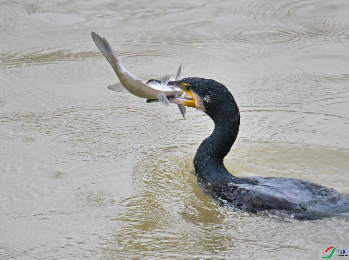 DSC_8755.JPG