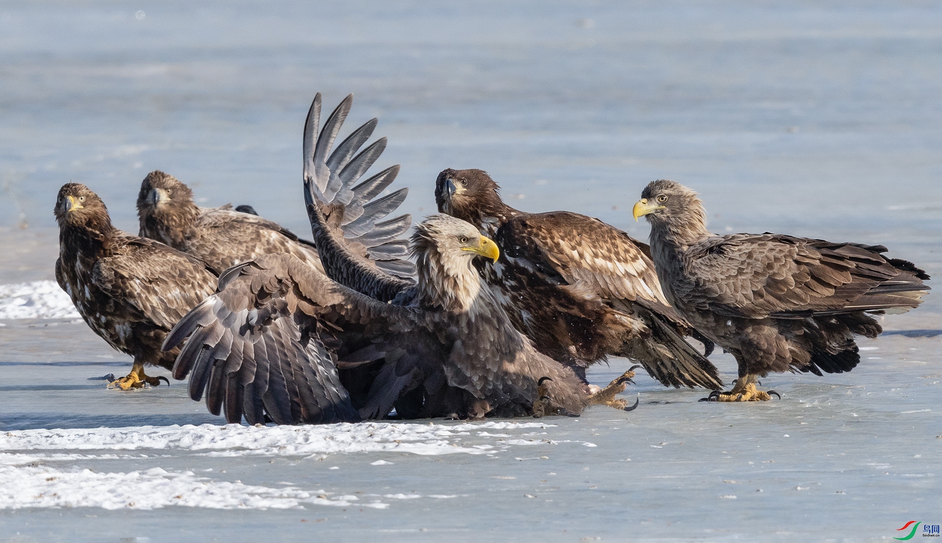 0E8A3156  ���� 03.jpg